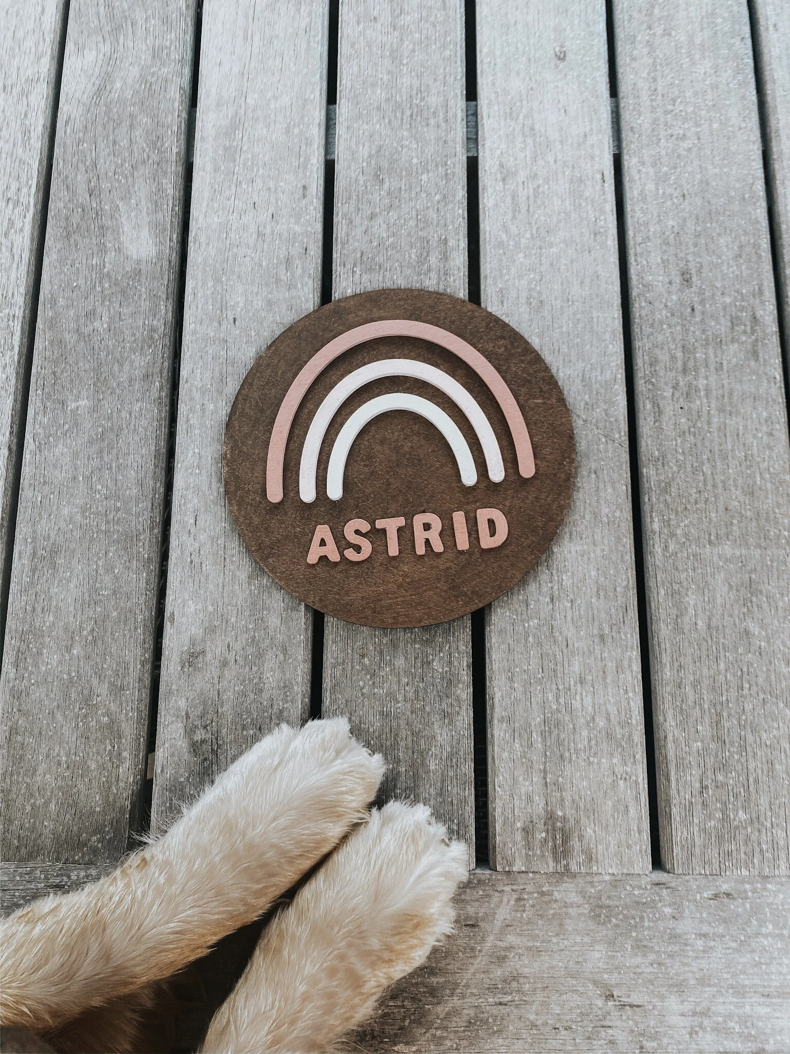 0567CE30-BF0B-4301-A30B-895539F62EEF