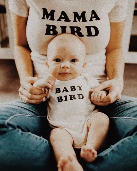 Mama and Baby Bird Set