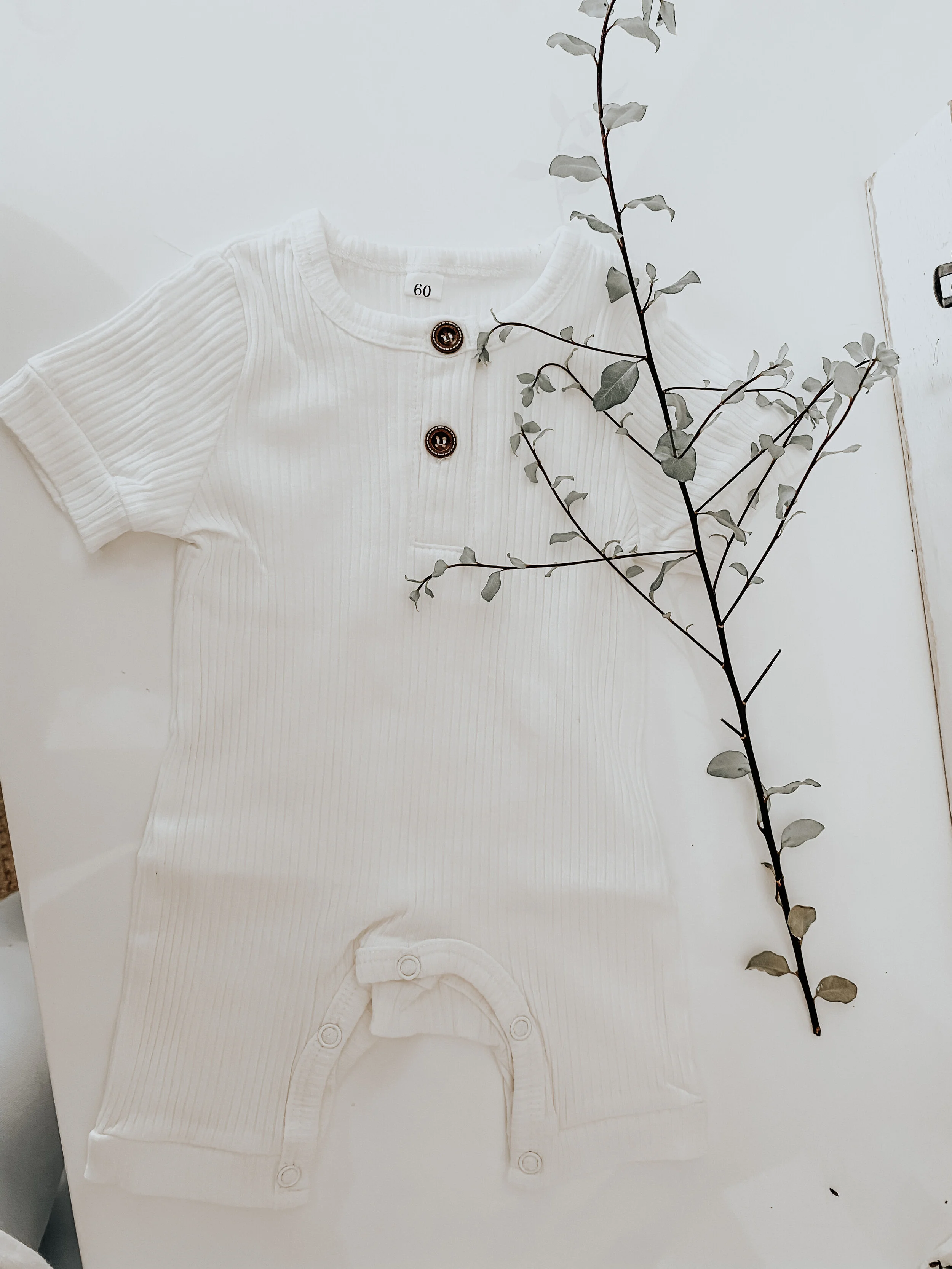 D23501B9-C7E5-41CE-966E-605DA59E14F3