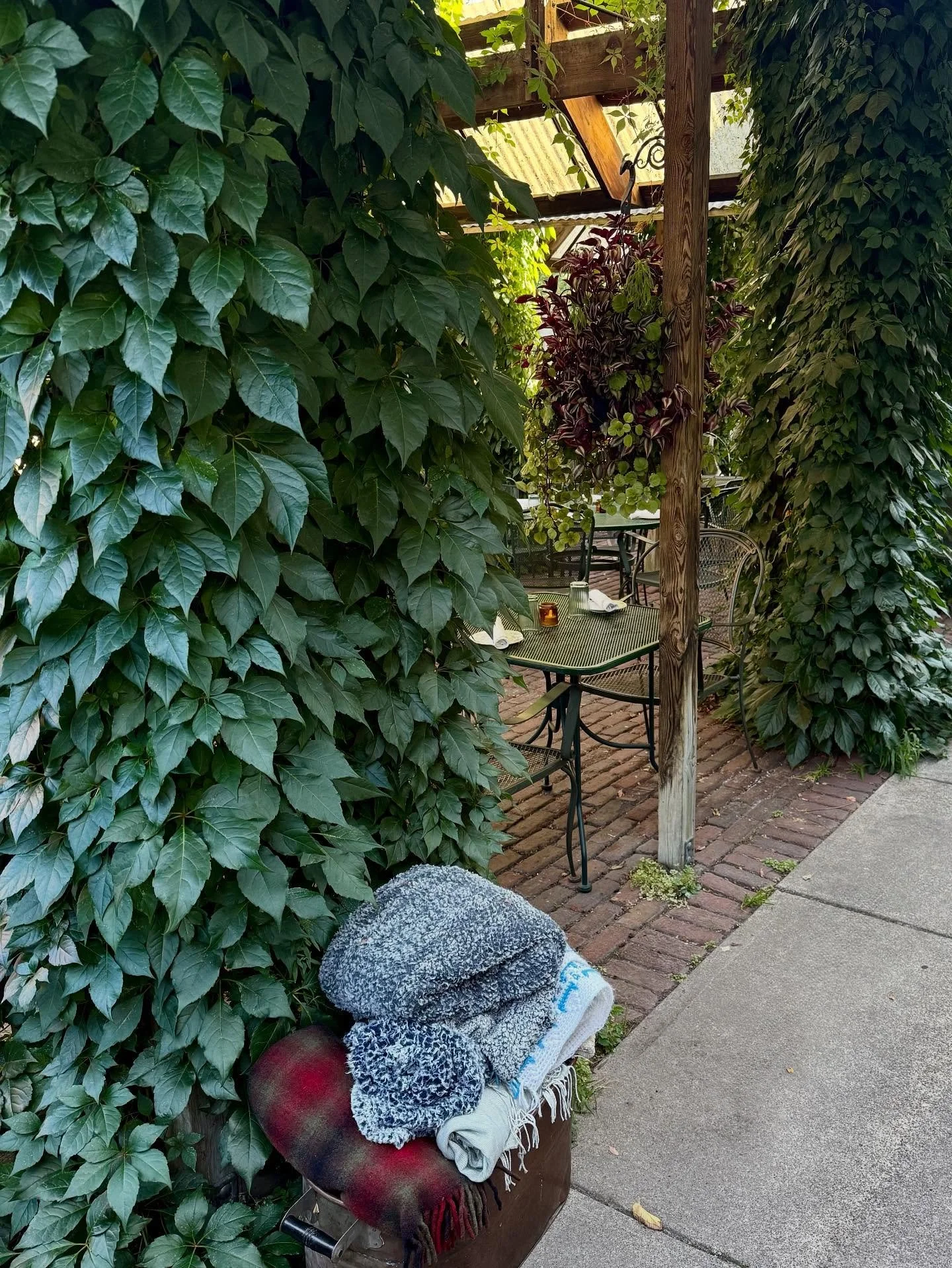 Savoring those fall patio nights @thebungalowclubmpls 🌱 🍅