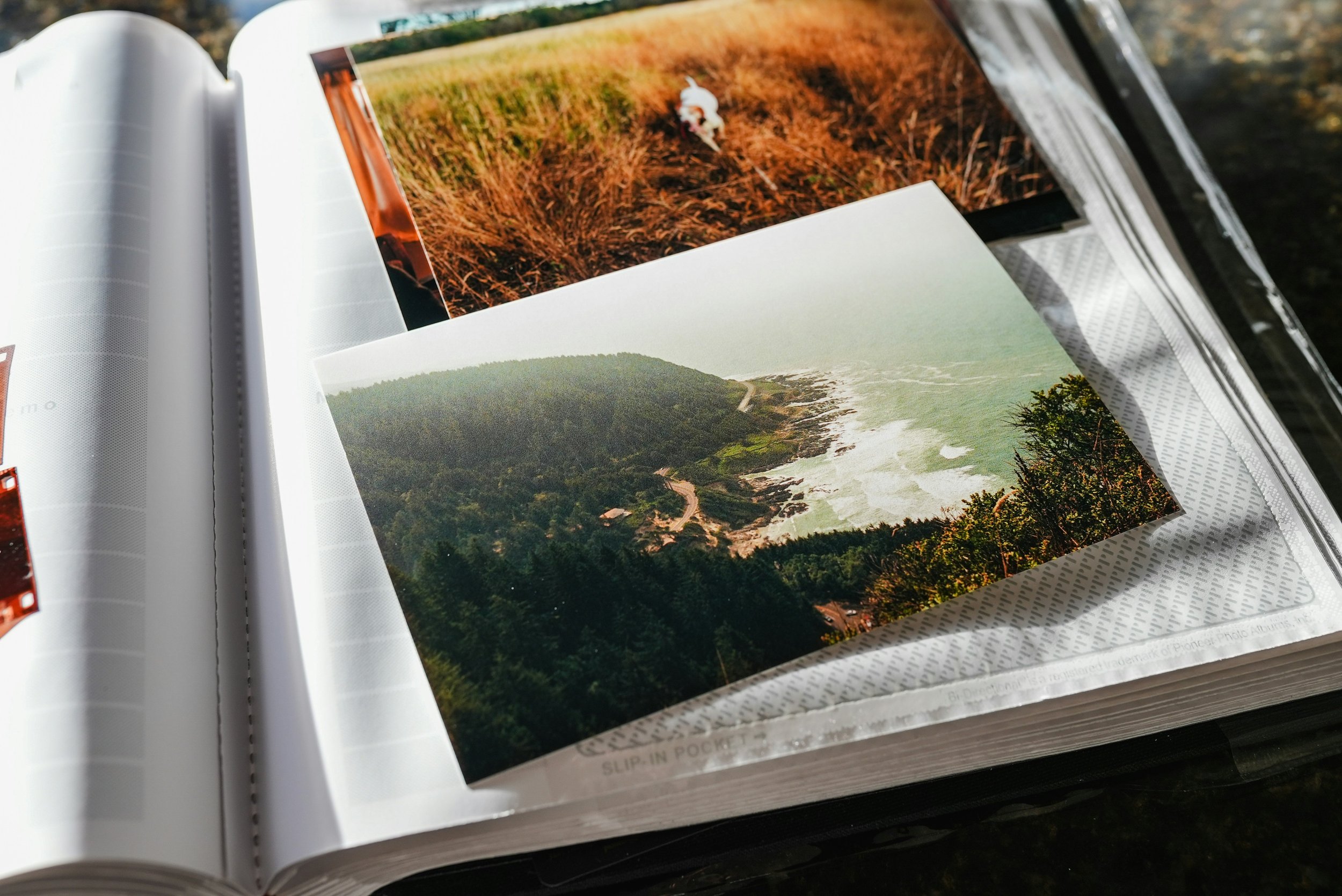 BMA_Creative_Access_Highlight_Brandi_Moore_Agency_josh-hild.jpg