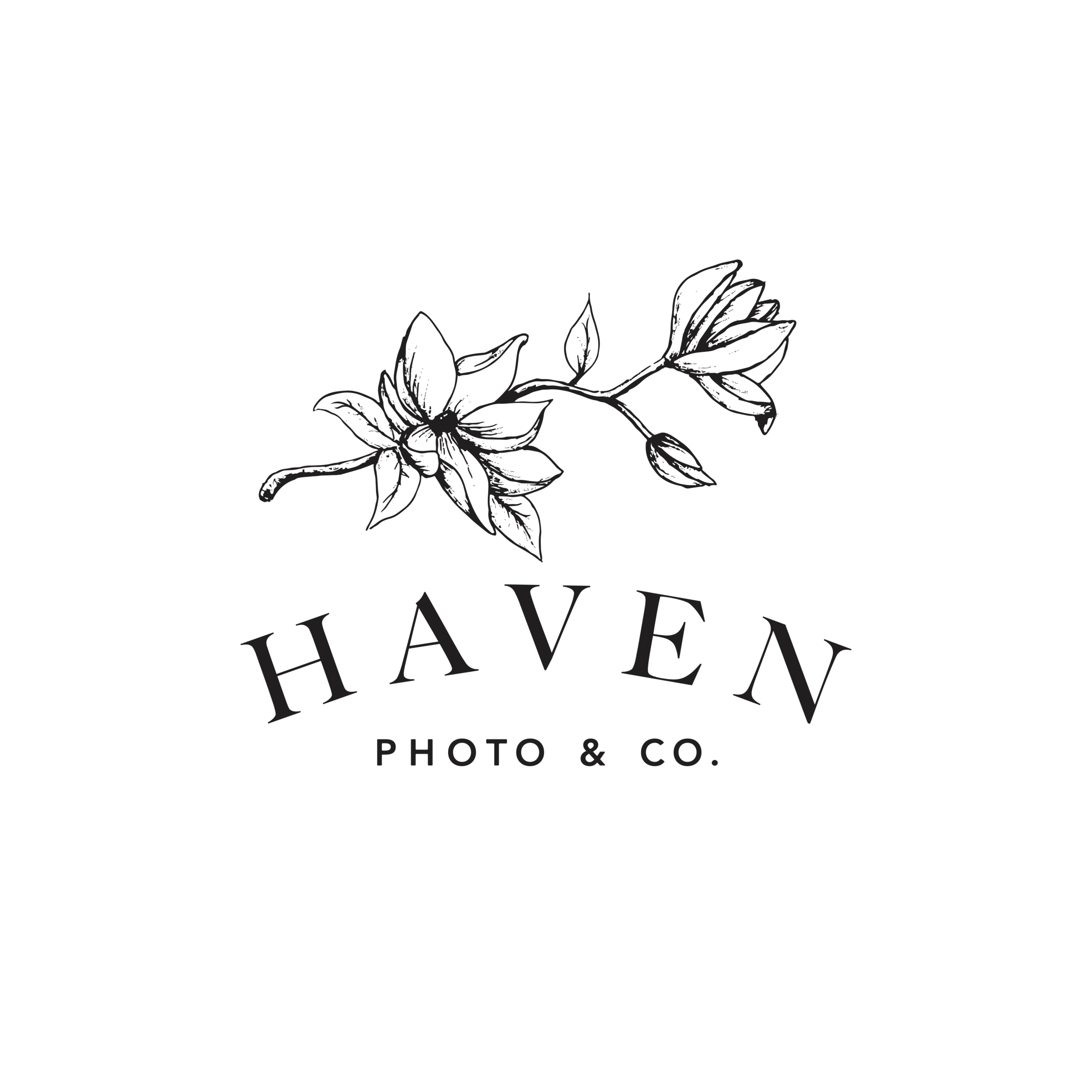 Haven Photo &amp; Co