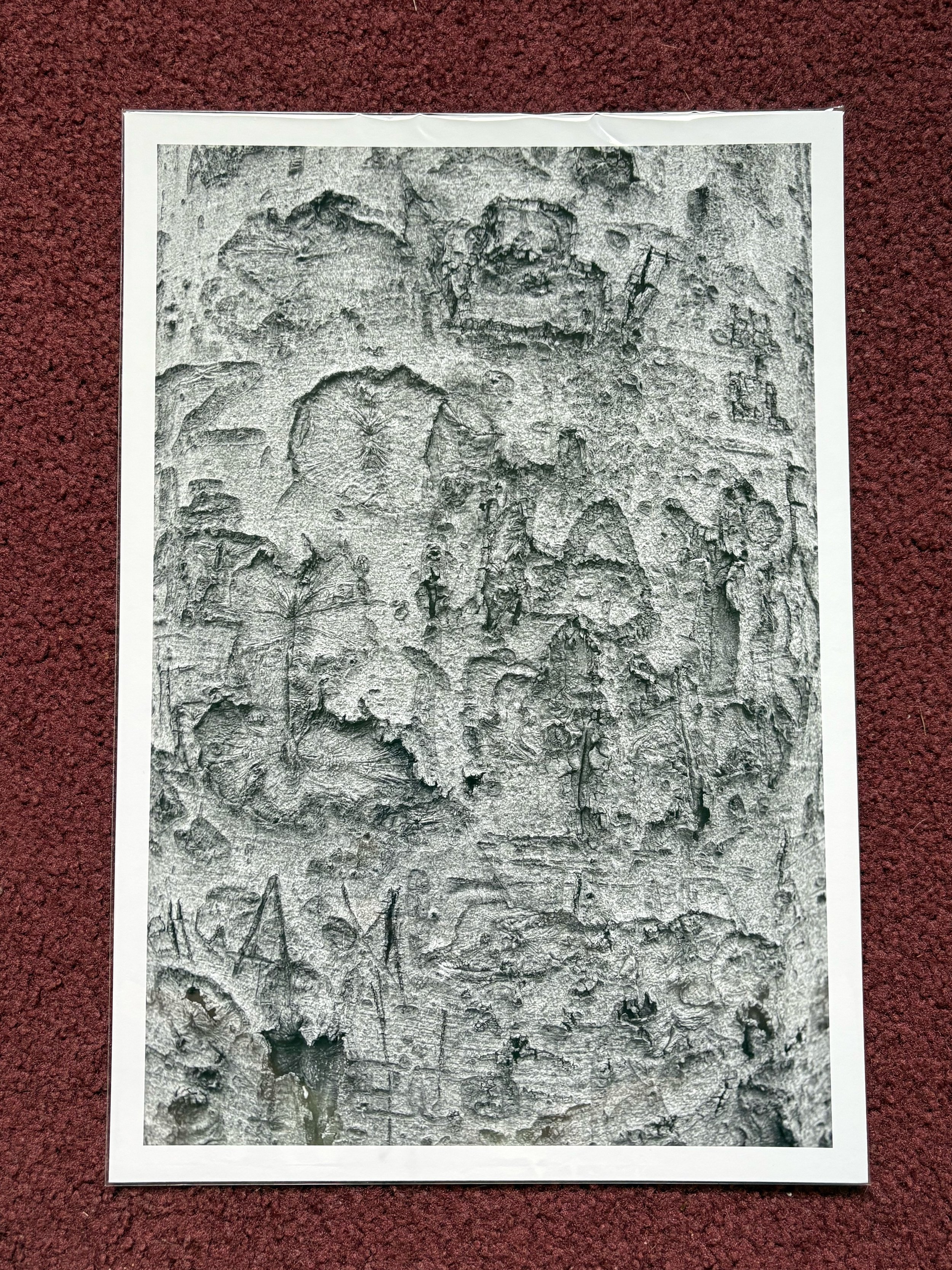 IMG_3220_entrada10x15.jpg