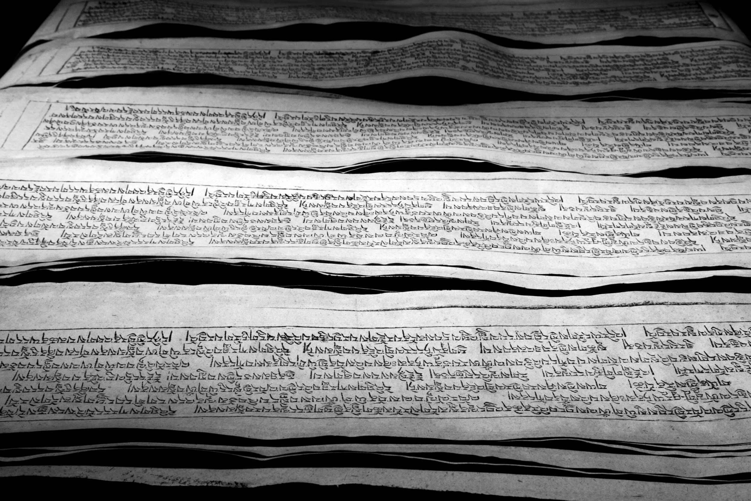 Printed Pages Portfolio.jpg