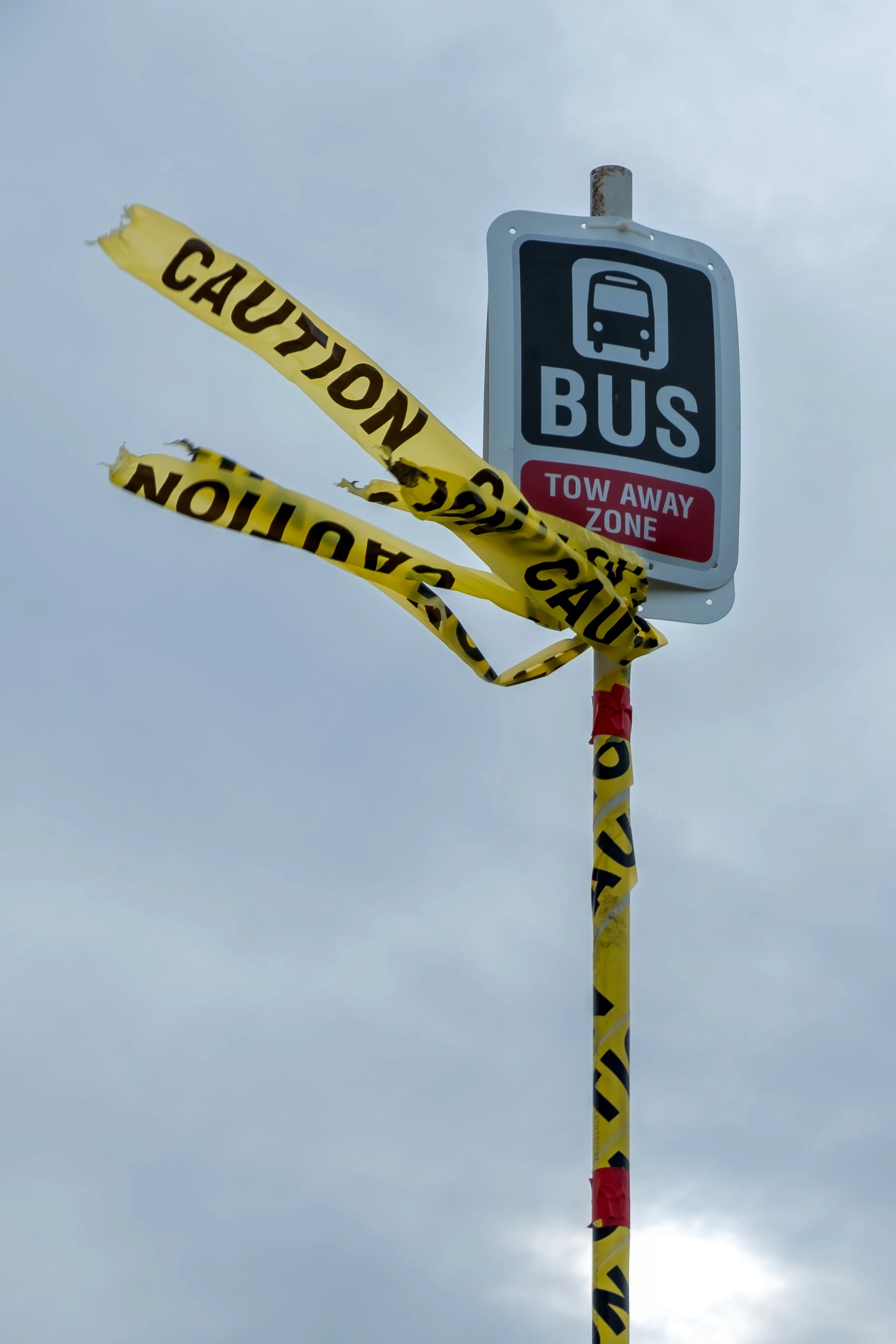 Caution to the Wind