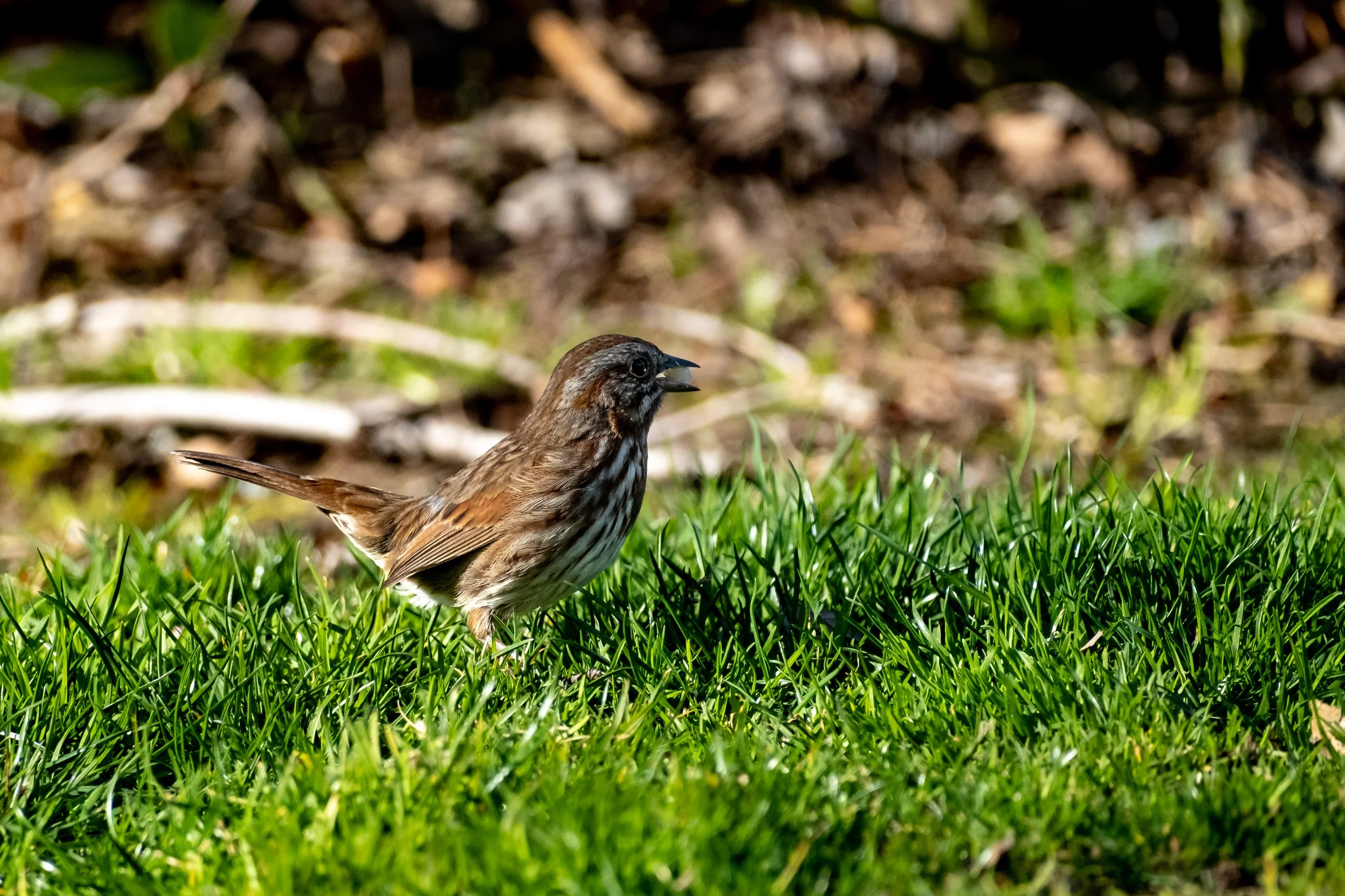 Don't sing with your mouth full