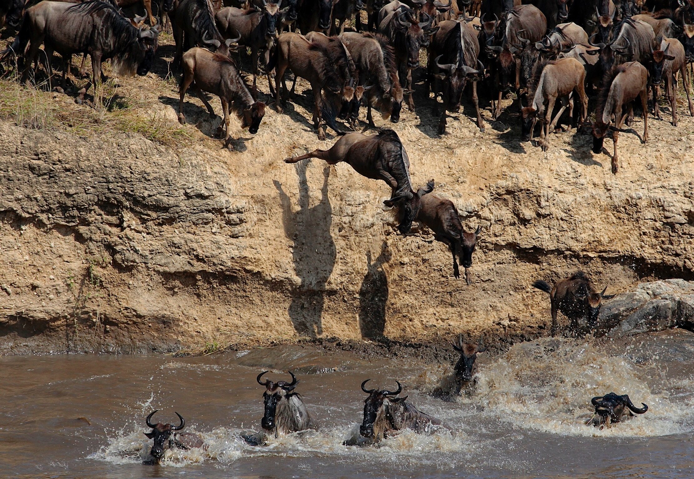 Great Migration