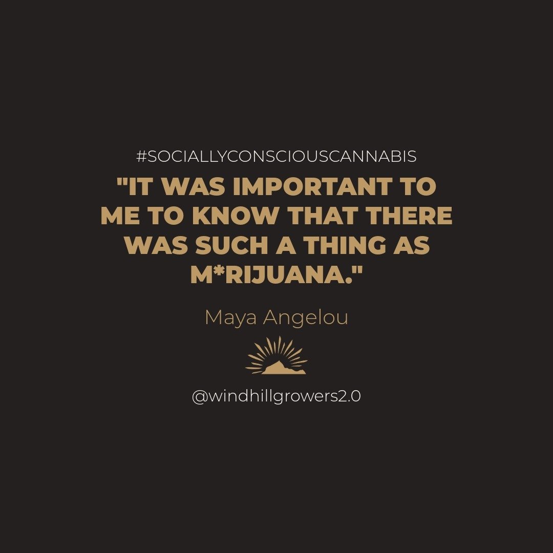 Maya Angelou openly discussed her positive experiences with c*nnabis in her autobiography &quot;Gather Together in My Name,&quot; describing it as enhancing her creativity and sensory perceptions. 💚&nbsp;🌿&nbsp;

For those who don&rsquo;t know, May