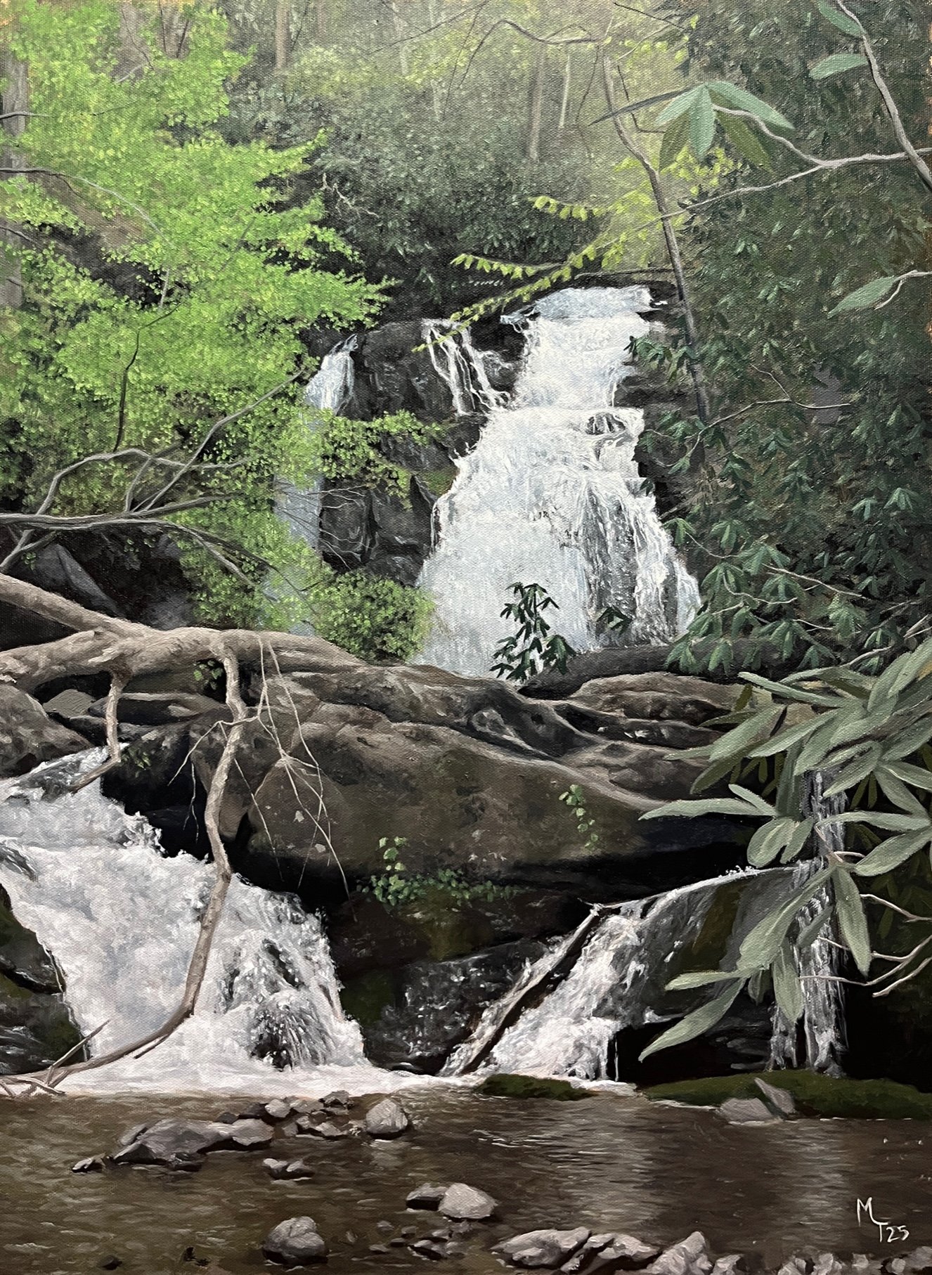 Spruce Flats Falls.jpg