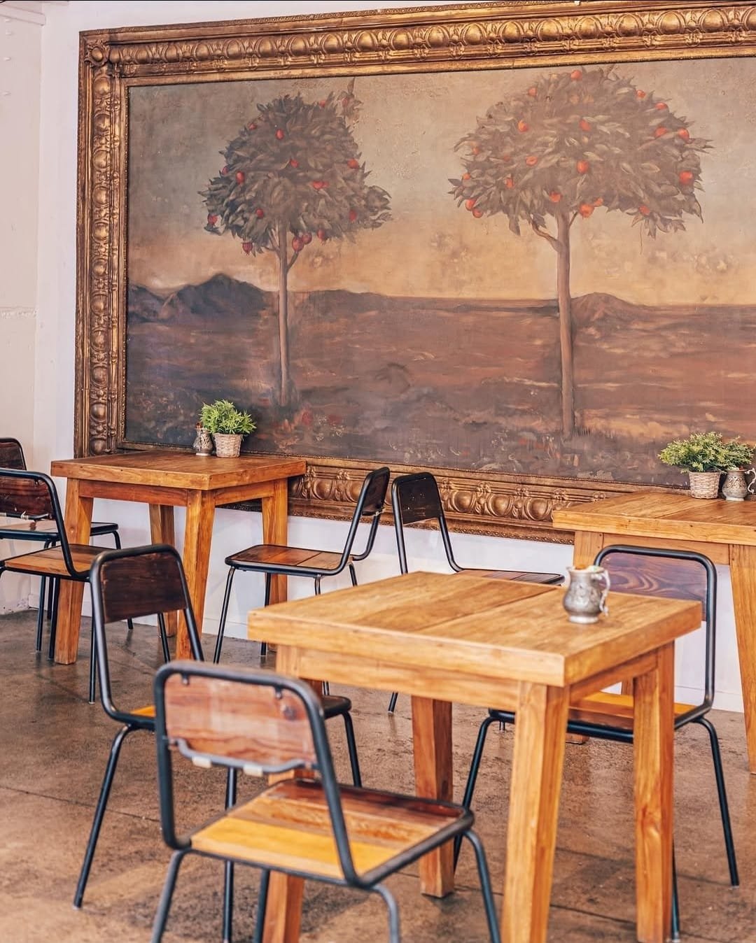 WhatsApp Image 2026-02-19 at 16.38.18.jpeg