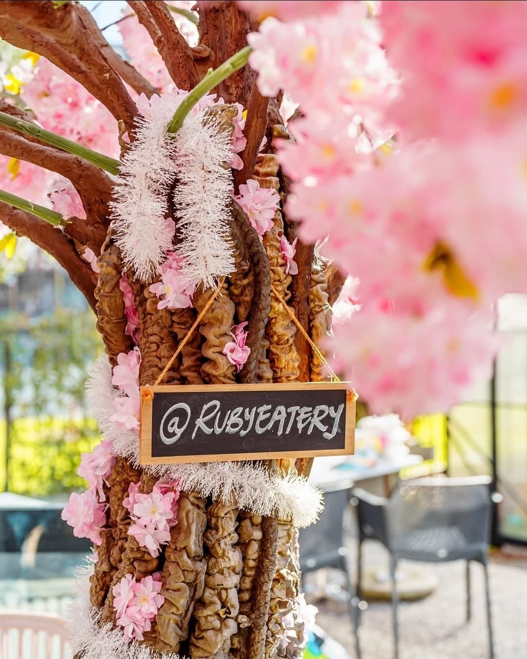 WhatsApp Image 2026-02-19 at 16.35.27.jpeg