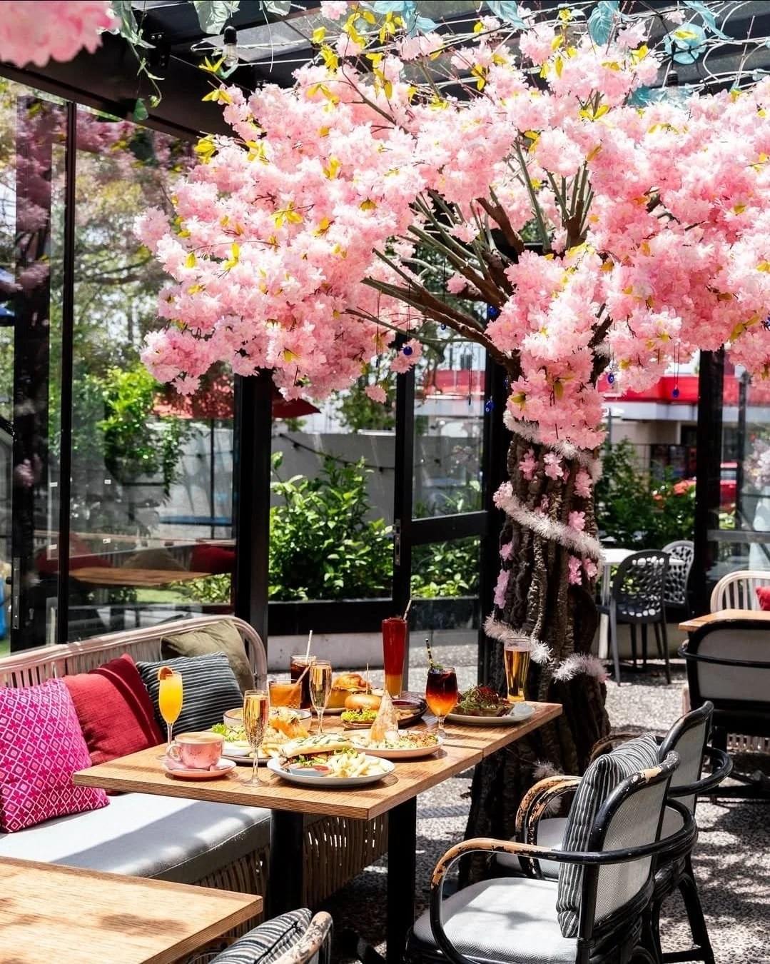 WhatsApp Image 2026-02-19 at 16.35.26.jpeg