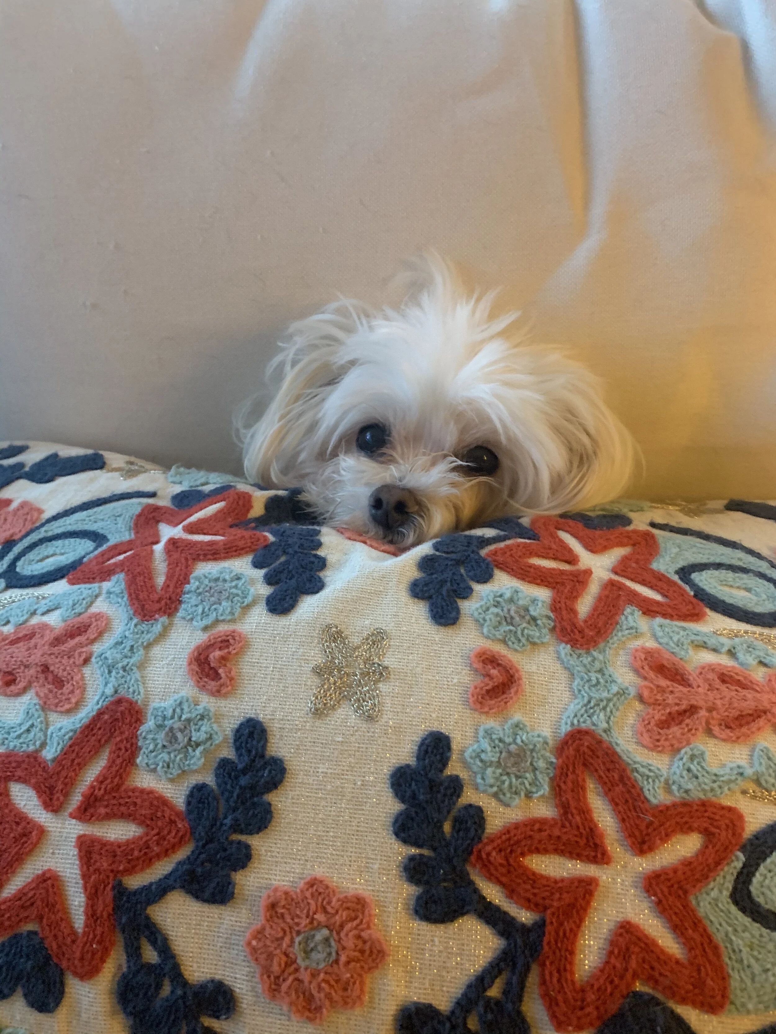 37 Day Quarantine Journey: Day 2