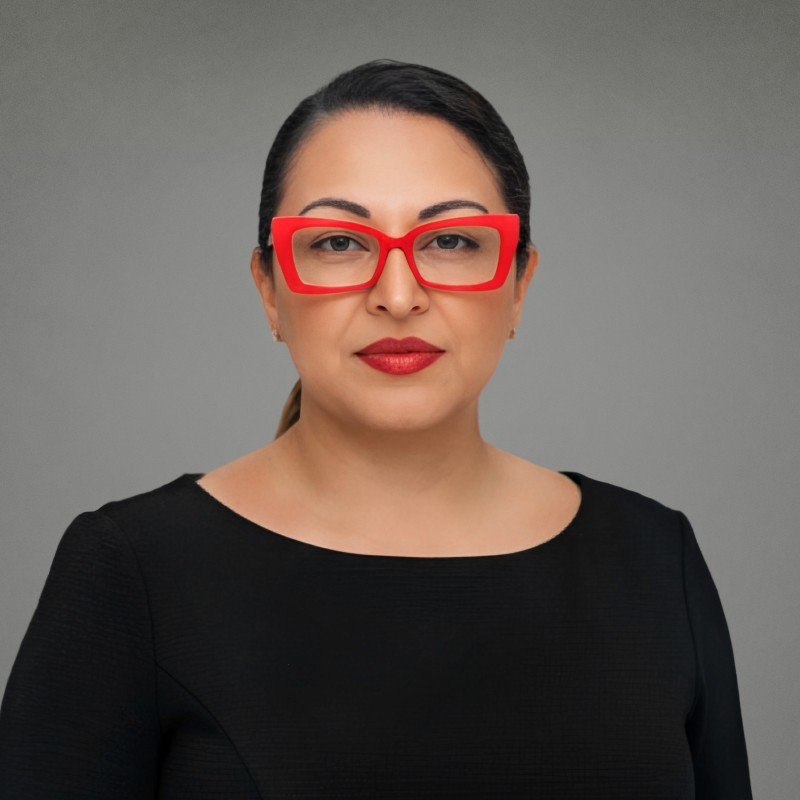 E293 -Veronica Canton, Partner at Pierson Ferdinand LLP and Chief Vision Officer of Optimized Leverage