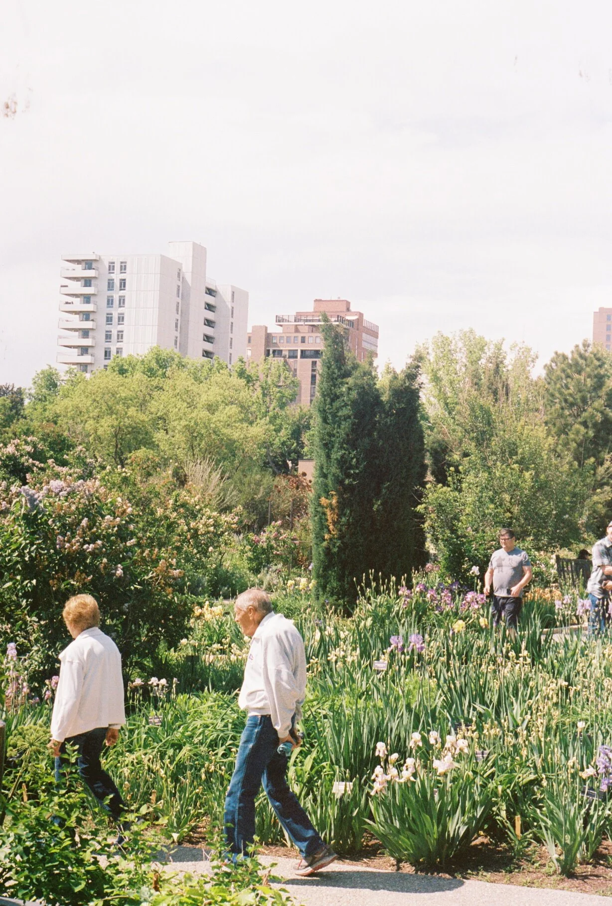 R1-00109-036A copy.JPG