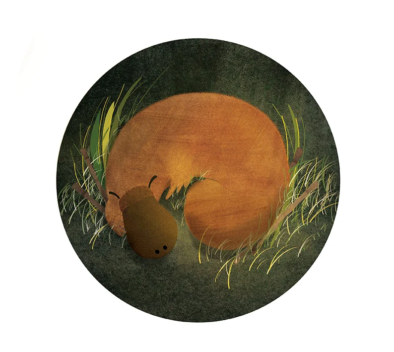 page3_platy copy 1.jpg