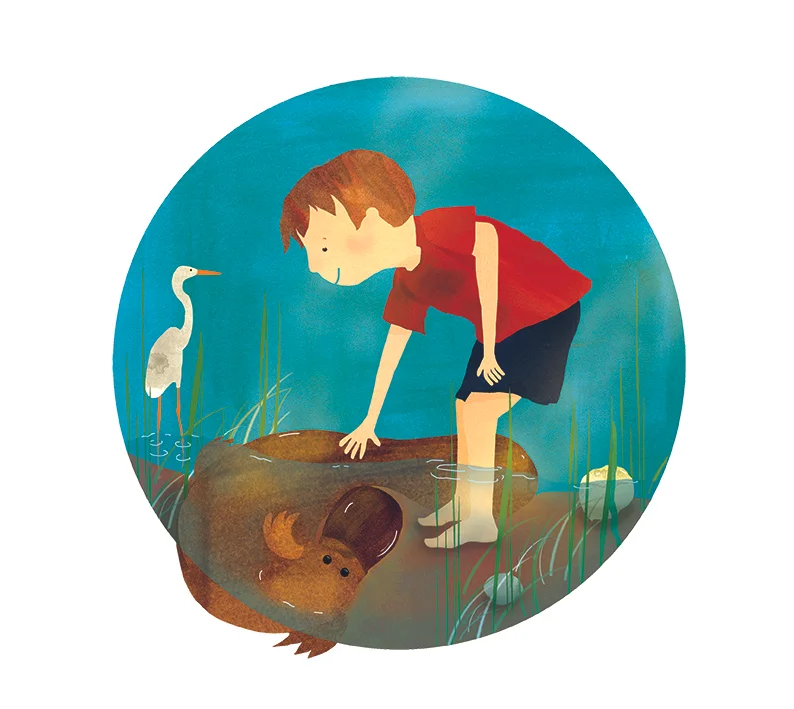 page5_platy copy.jpg