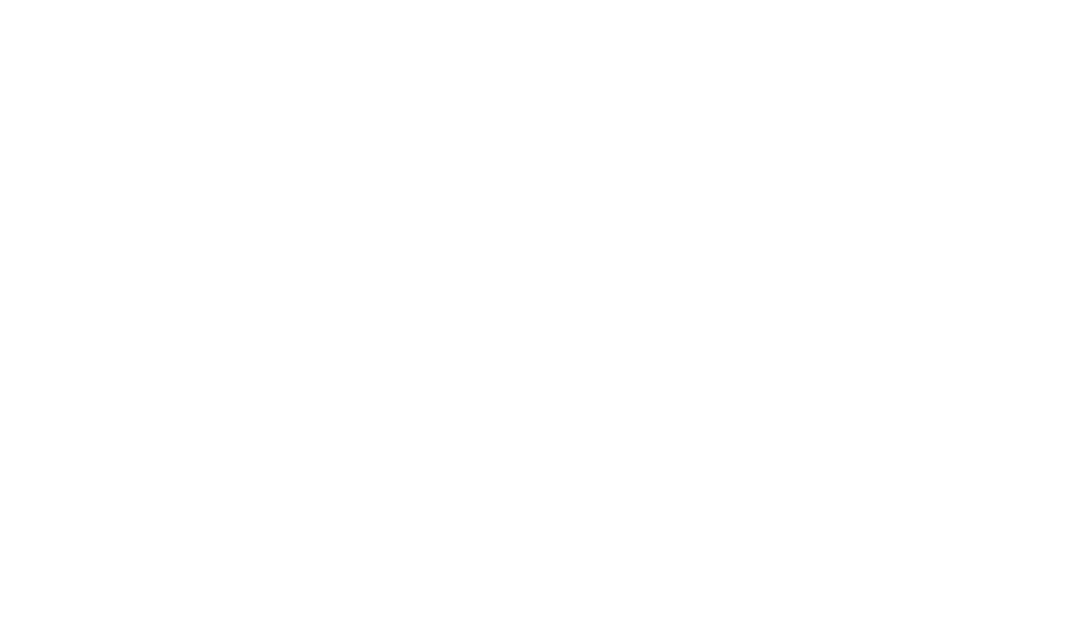 Salix Business Partner AB