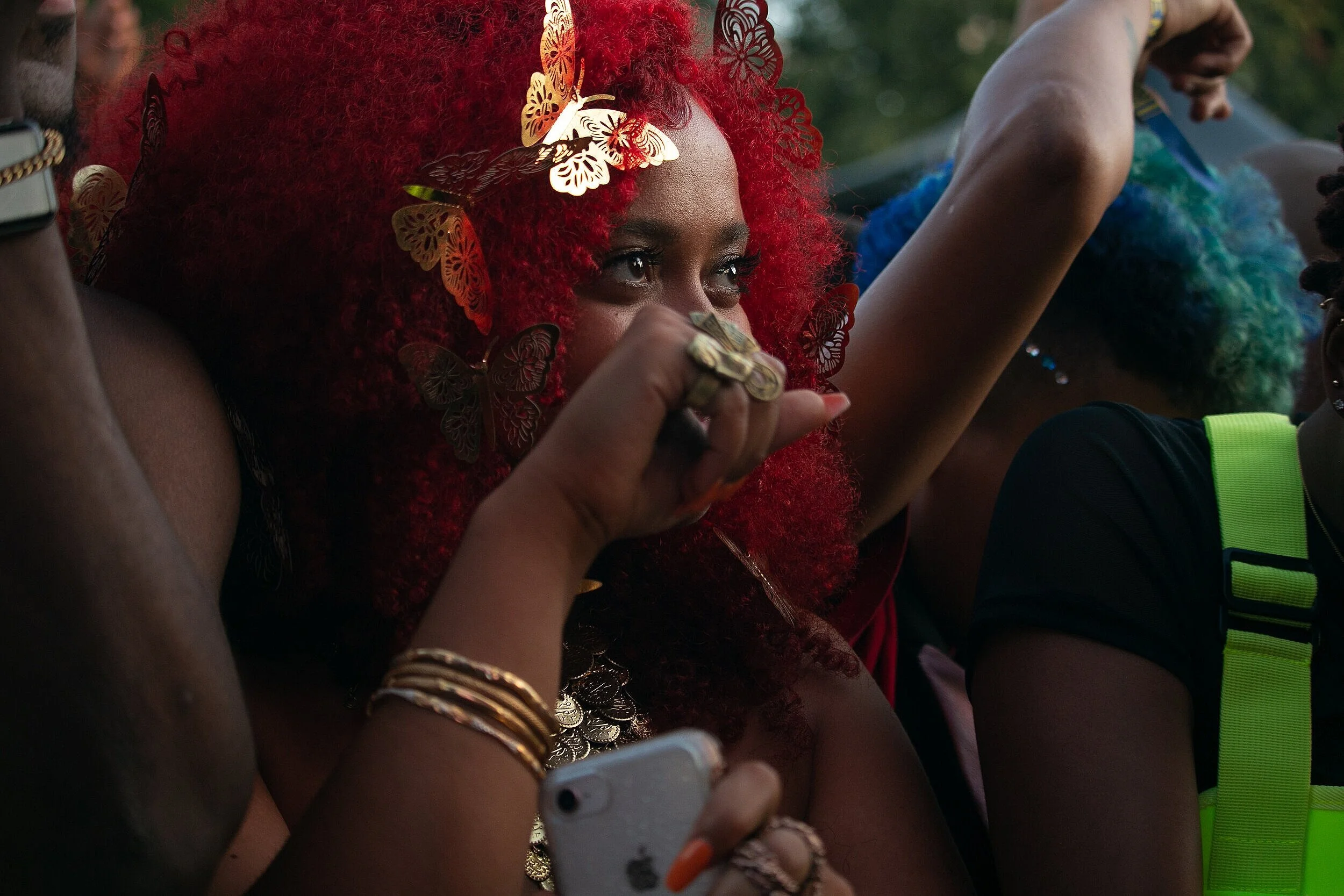 Afropunk Brooklyn 2019