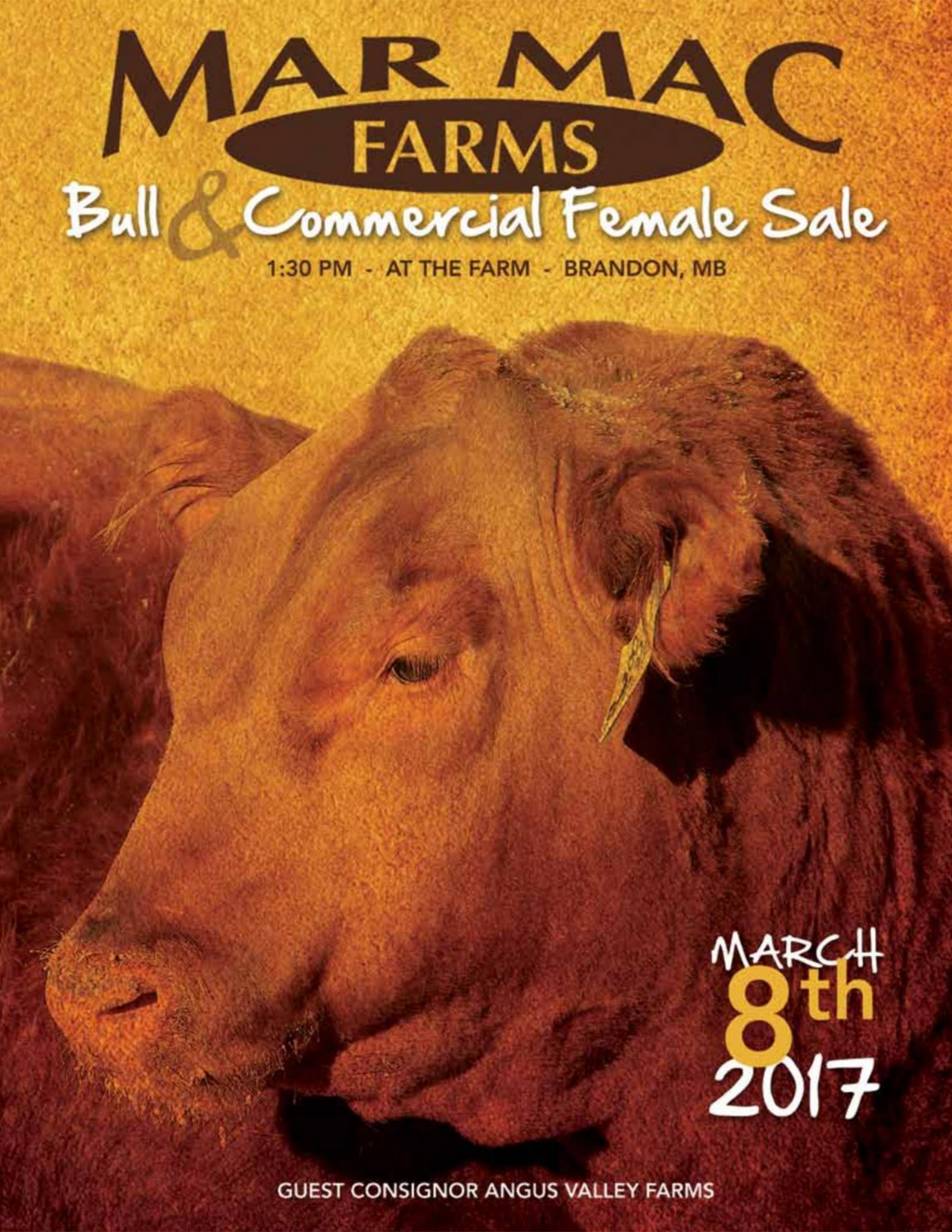 2017 Bull Sale.png