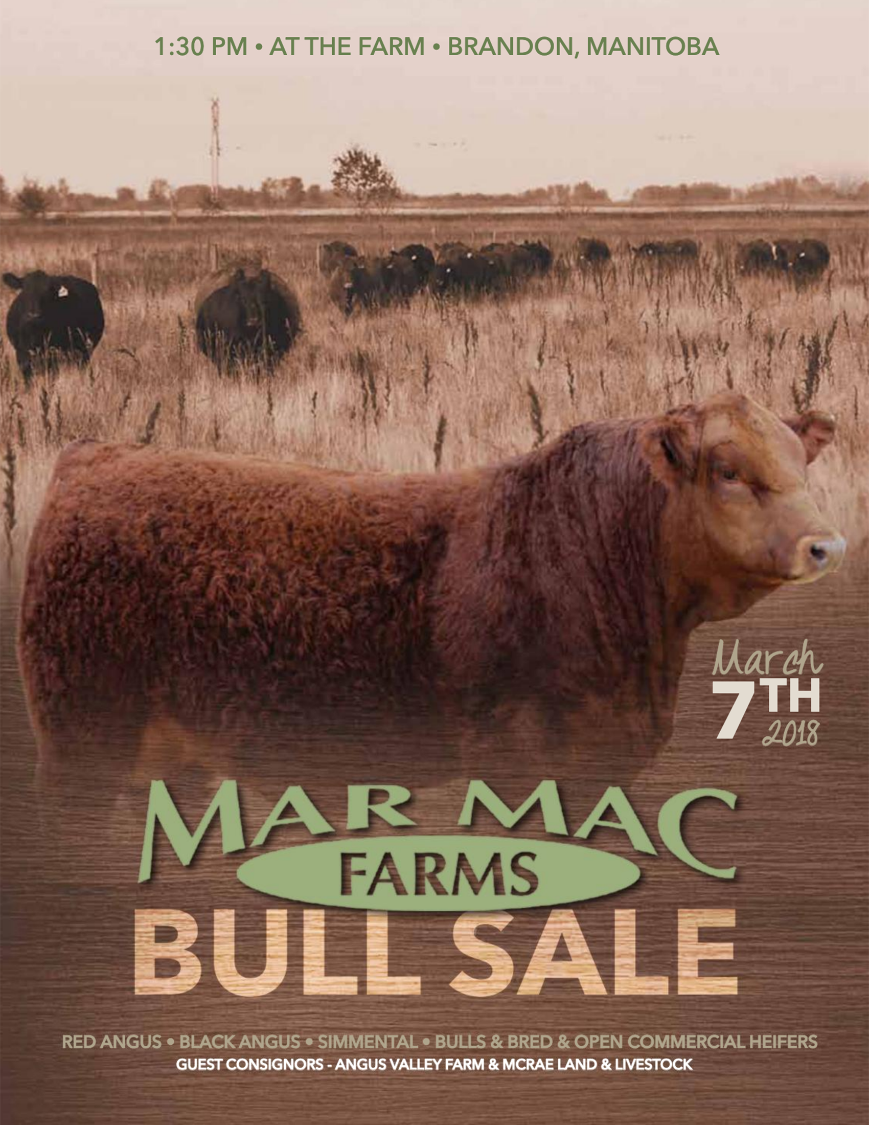 2018 Bull Sale.png