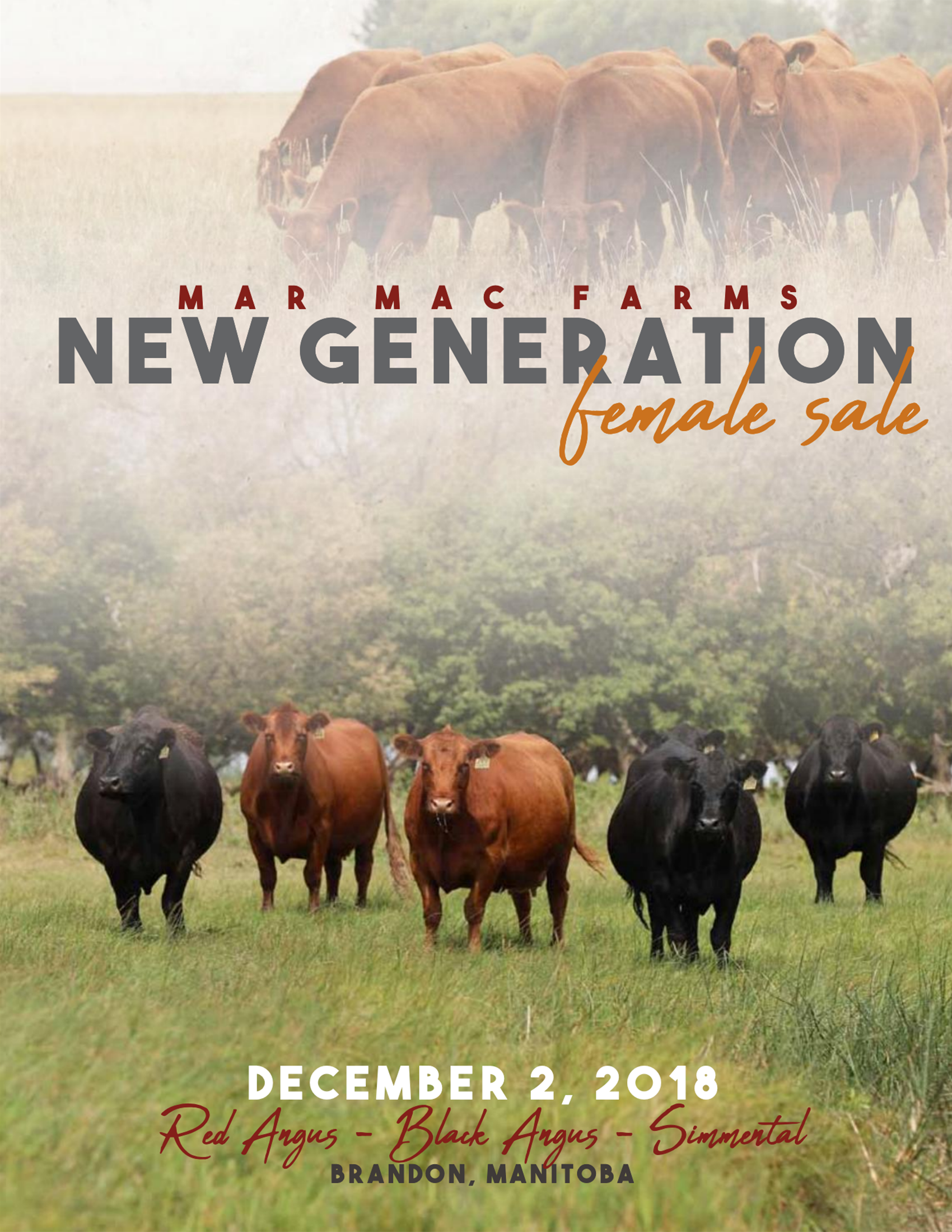 Next Generation Female Sale