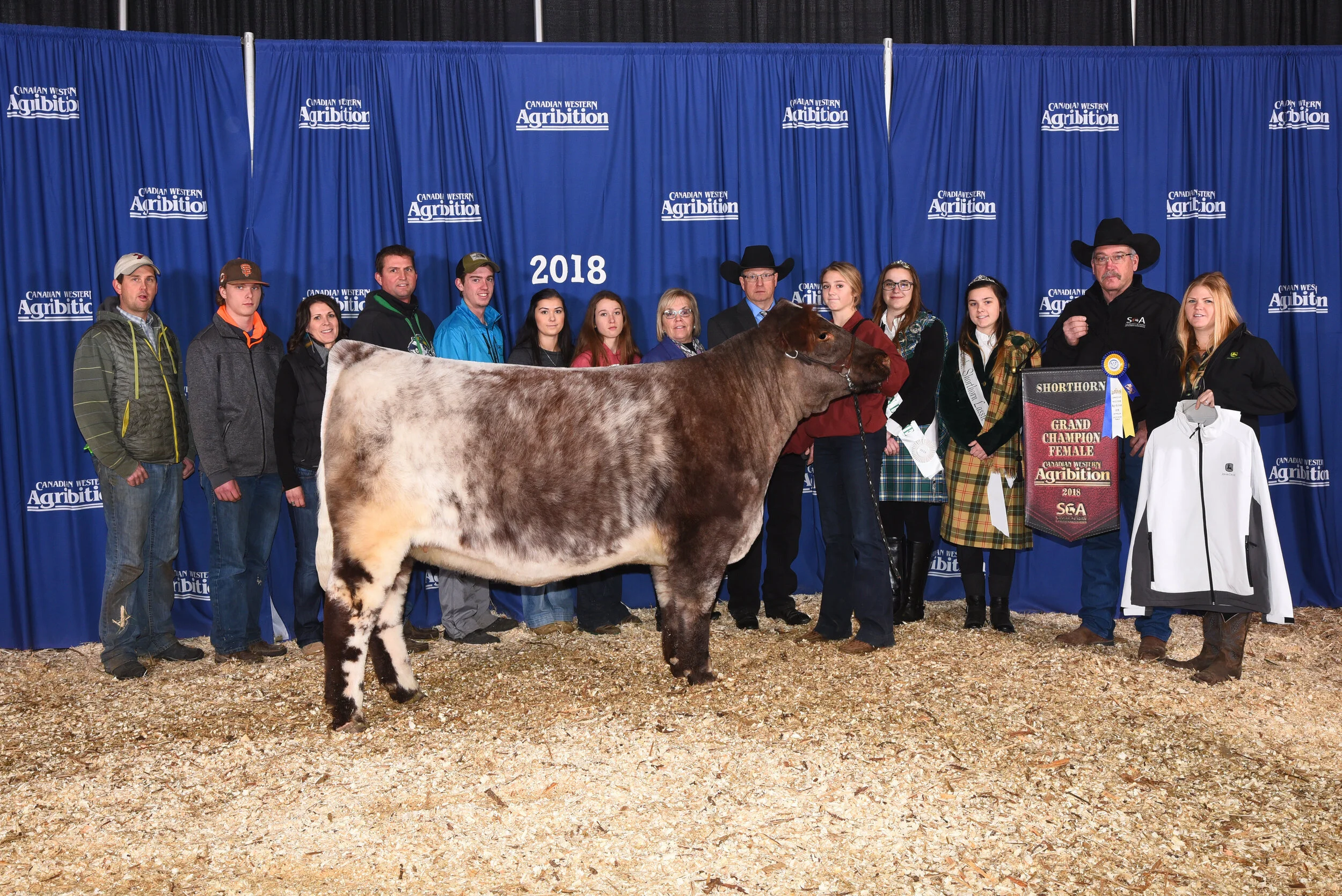Blair and Lois Judge the 2018 Canadian Western Agribition Shorthorn Show