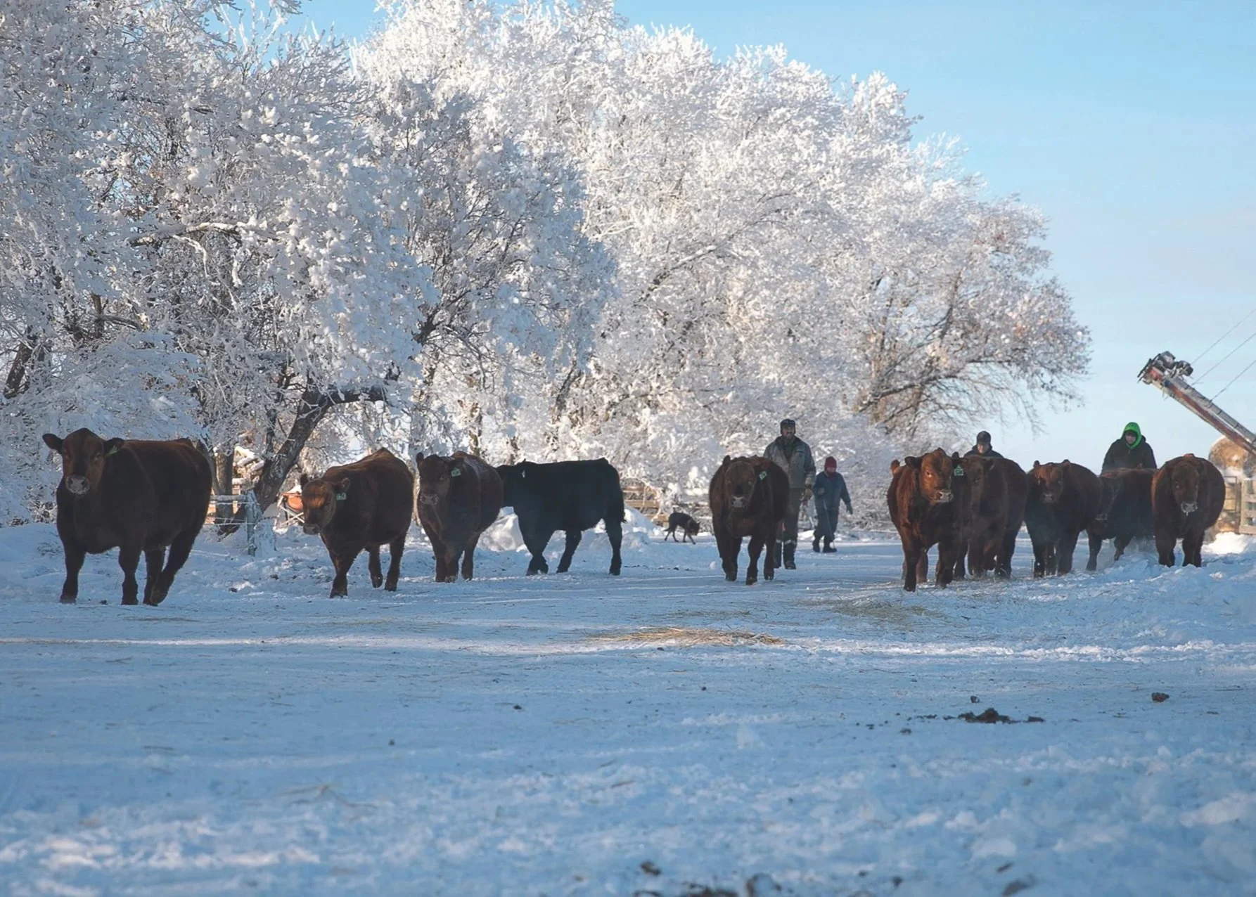 WEDNESDAY, MARCH 11, 2026