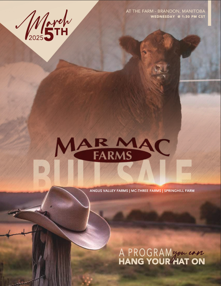 Screenshot 2025-12-31 at 9.12.04 AM.png