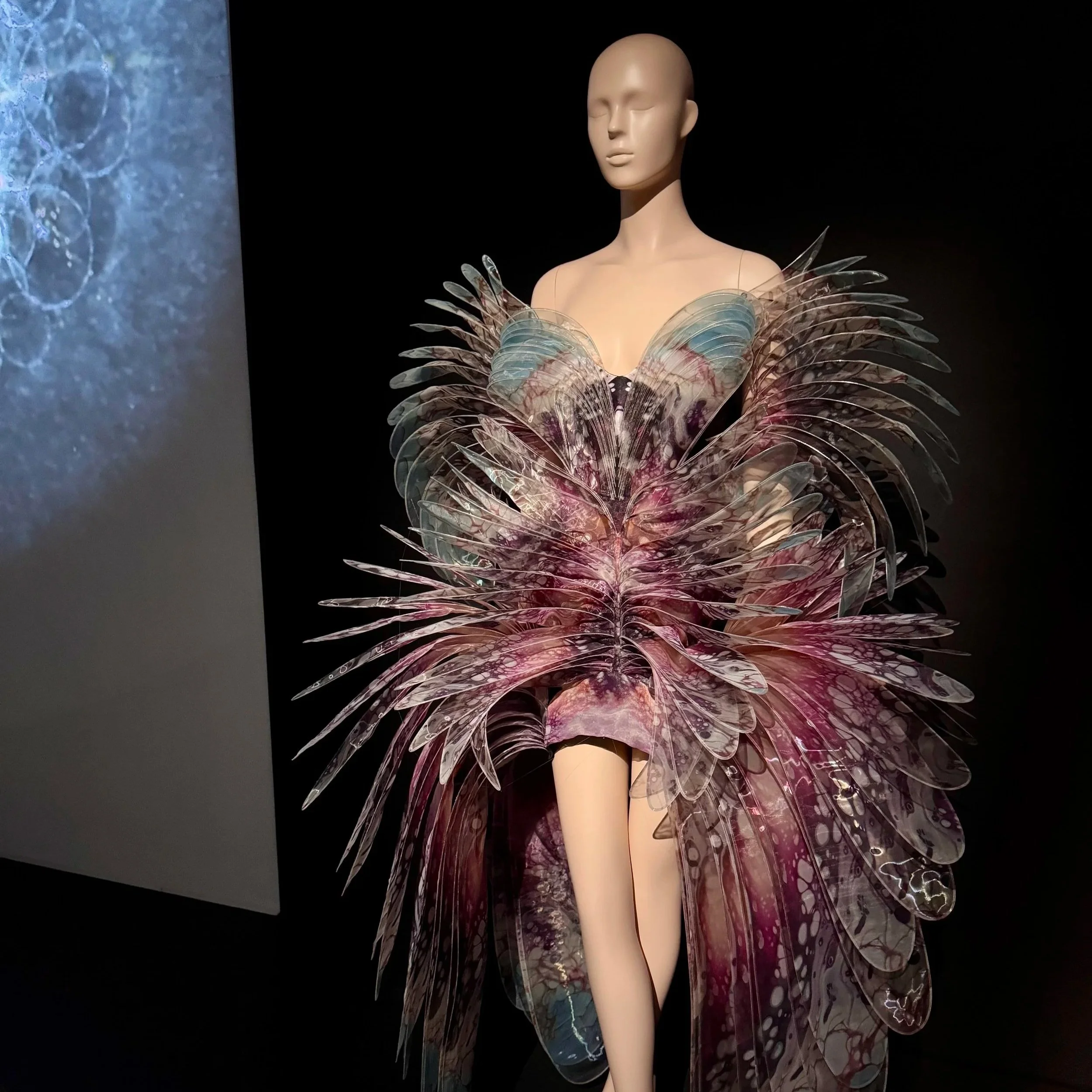Visiting the Exhibition "Iris van Herpen: Sculpting the Senses"