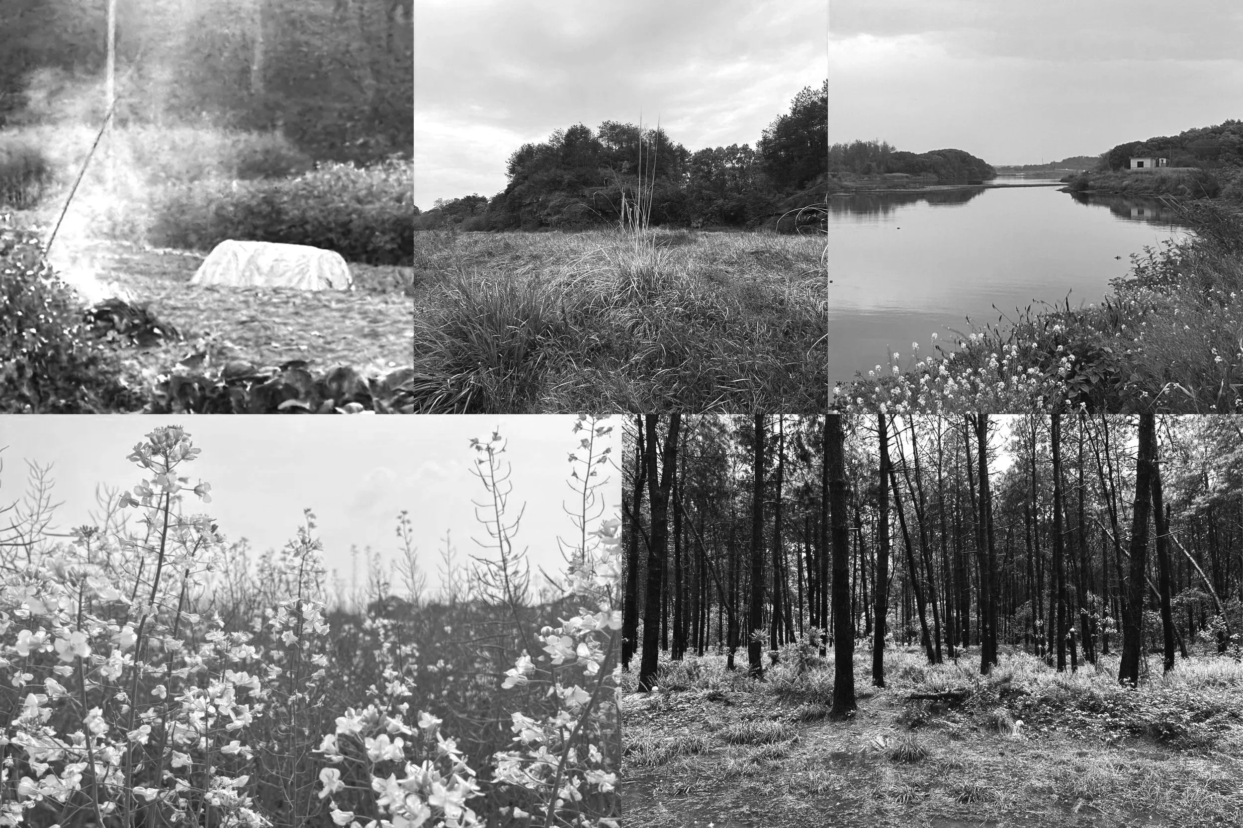 阙里Archive丨自然音景