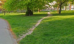 Creating pathways in the brain