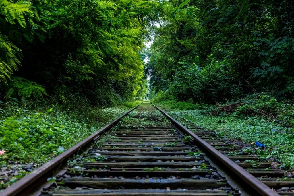Staying on Track