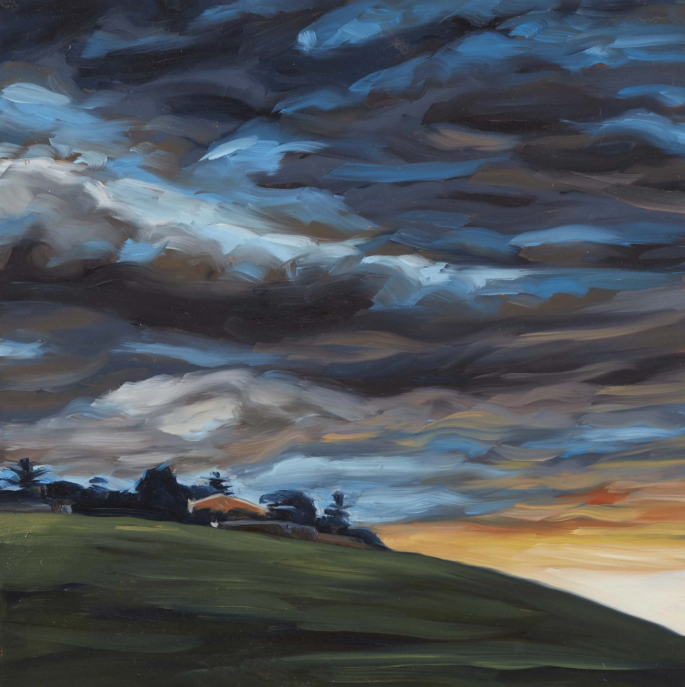   Jacana Weather 1 , oil on board, 30.4 x 30.3 cm, 2021                          photo by Narelle Wilson 