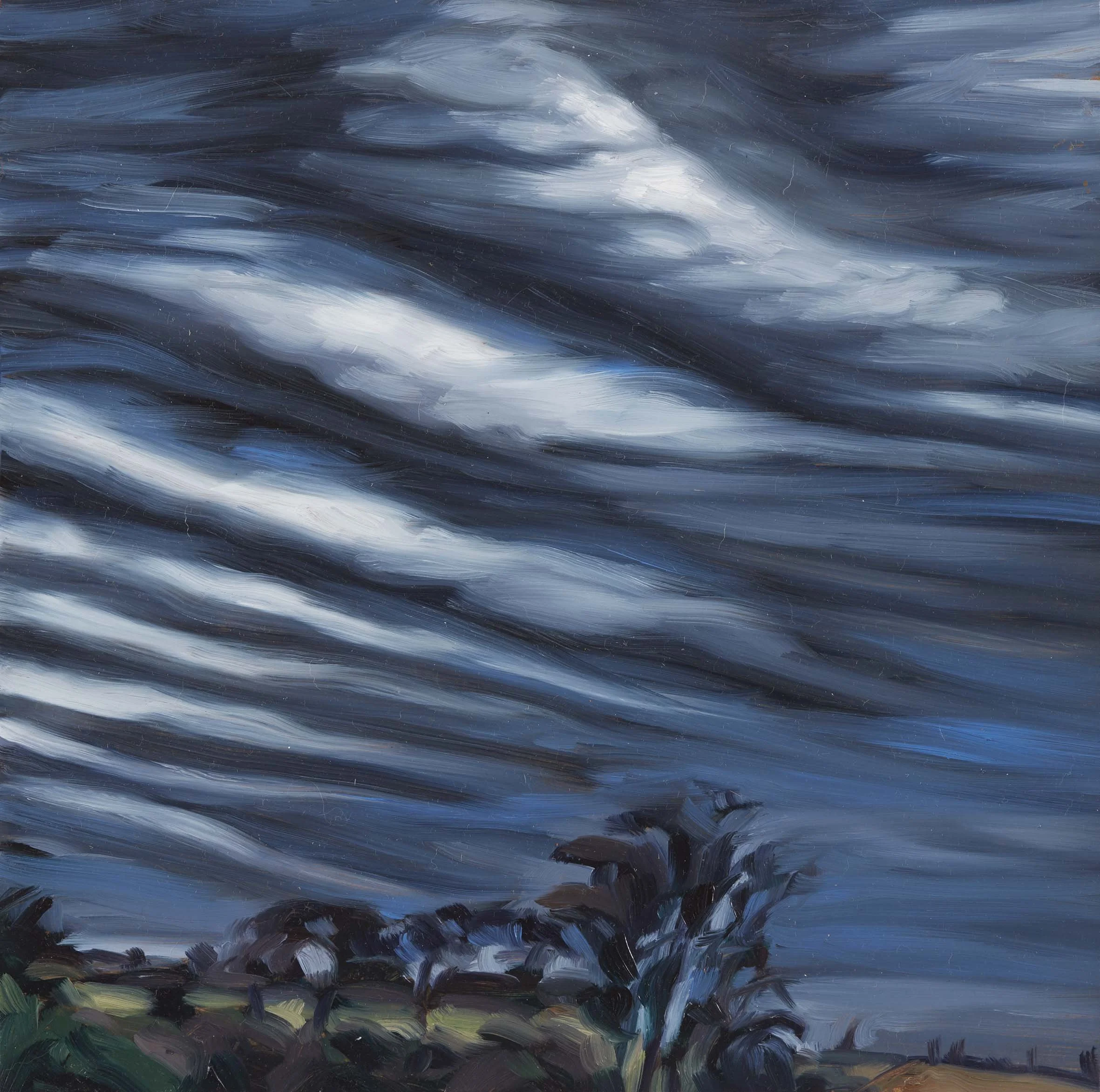  Jacana Weather 7, oil on board, 30.3 x 30.4 cm, 2022                          photo by Narelle Wilson 