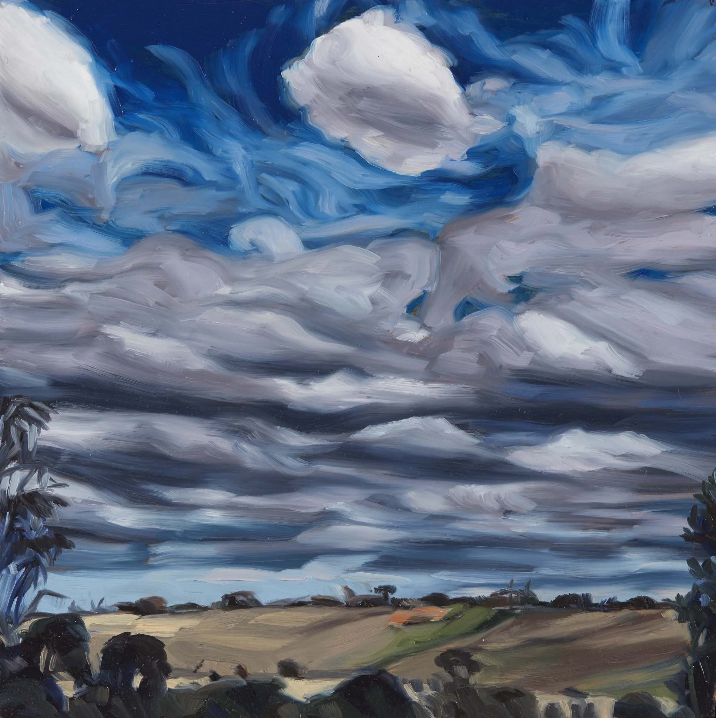   Jacana Weather 9 , oil on board, 30.4 x 30.4 cm, 2022              photo by Narelle Wilson 