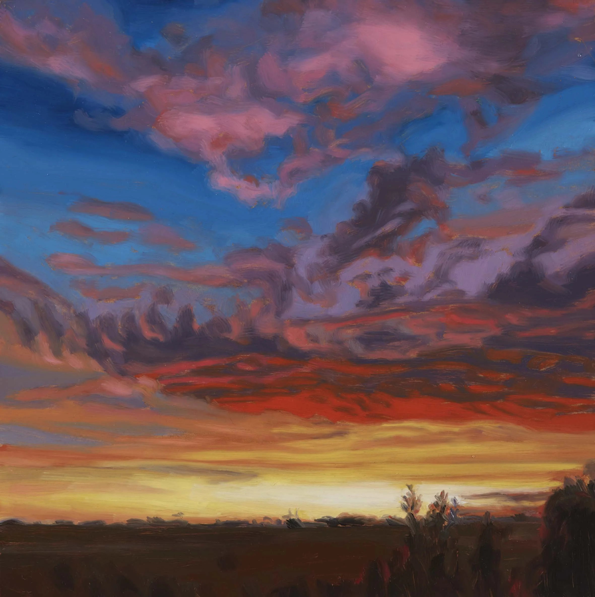   Jacana Weather 10,  30 × 30 cm, oil on board, 2024                  photo by Narelle Wilson 