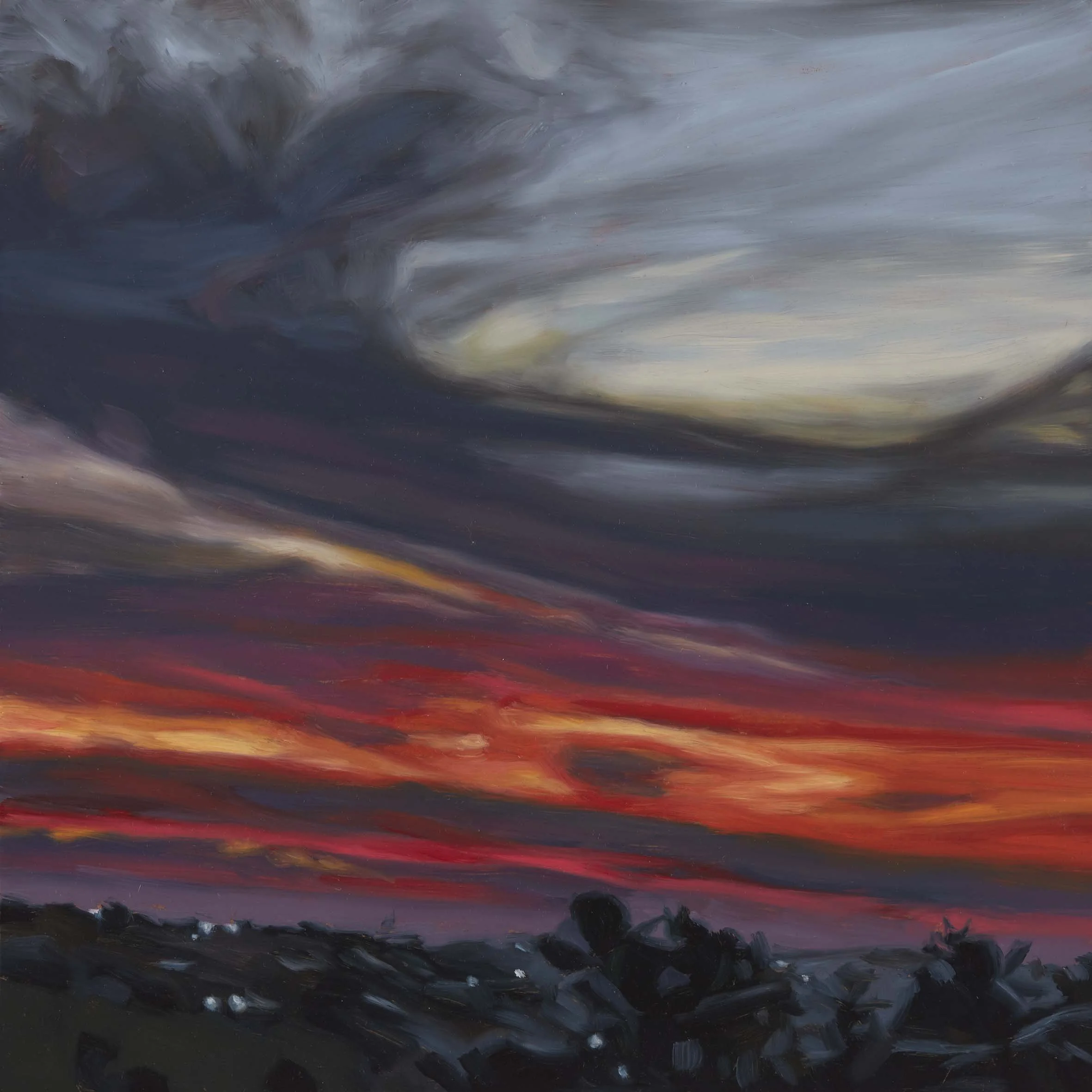   Jacana Weather 12,   30 × 30 cm, oil on board, 2024                 photo by Narelle Wilson 