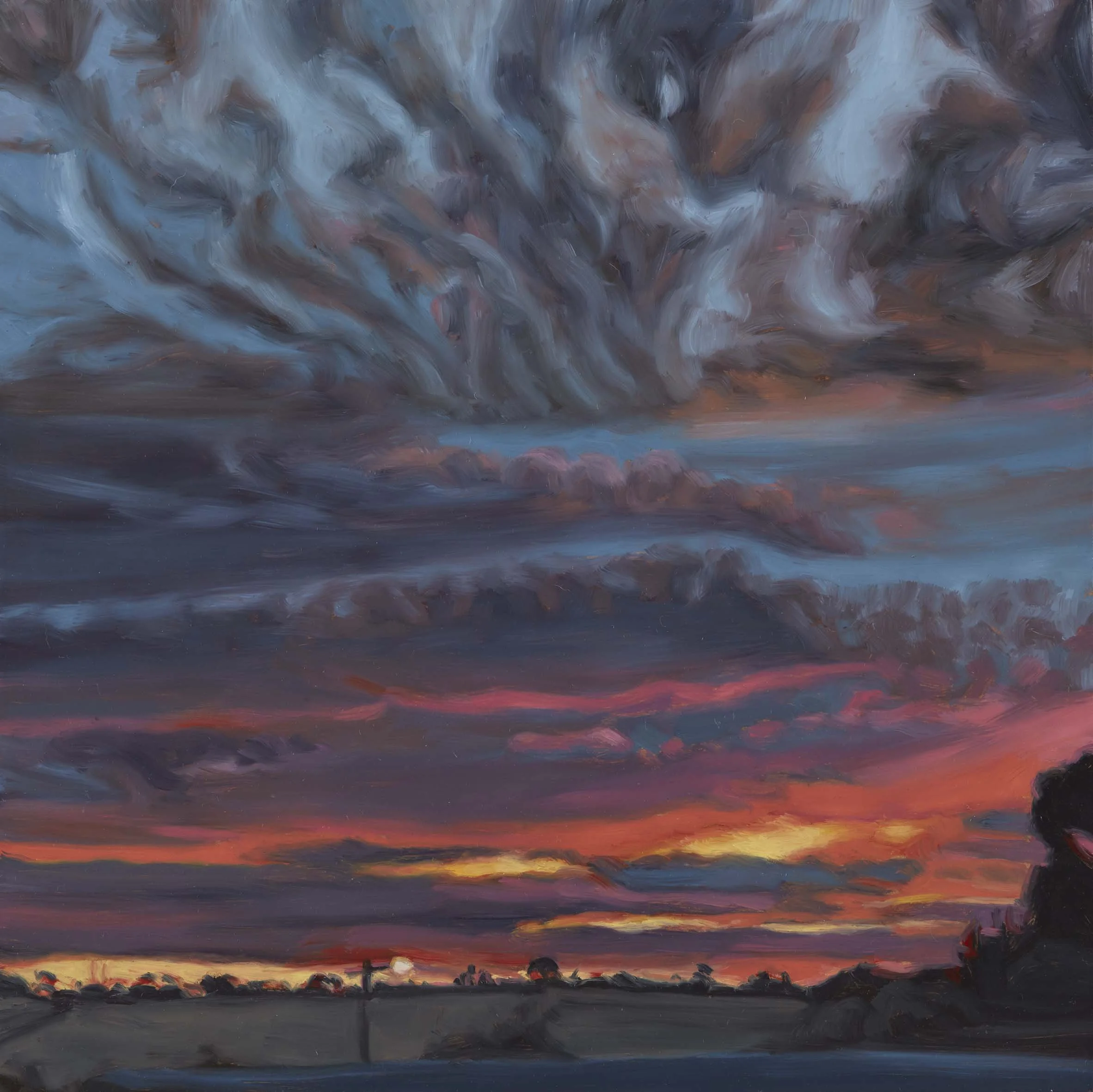   Jacana Weather 13,  30 × 30 cm, oil on board, 2024                  photo by Narelle Wilson 