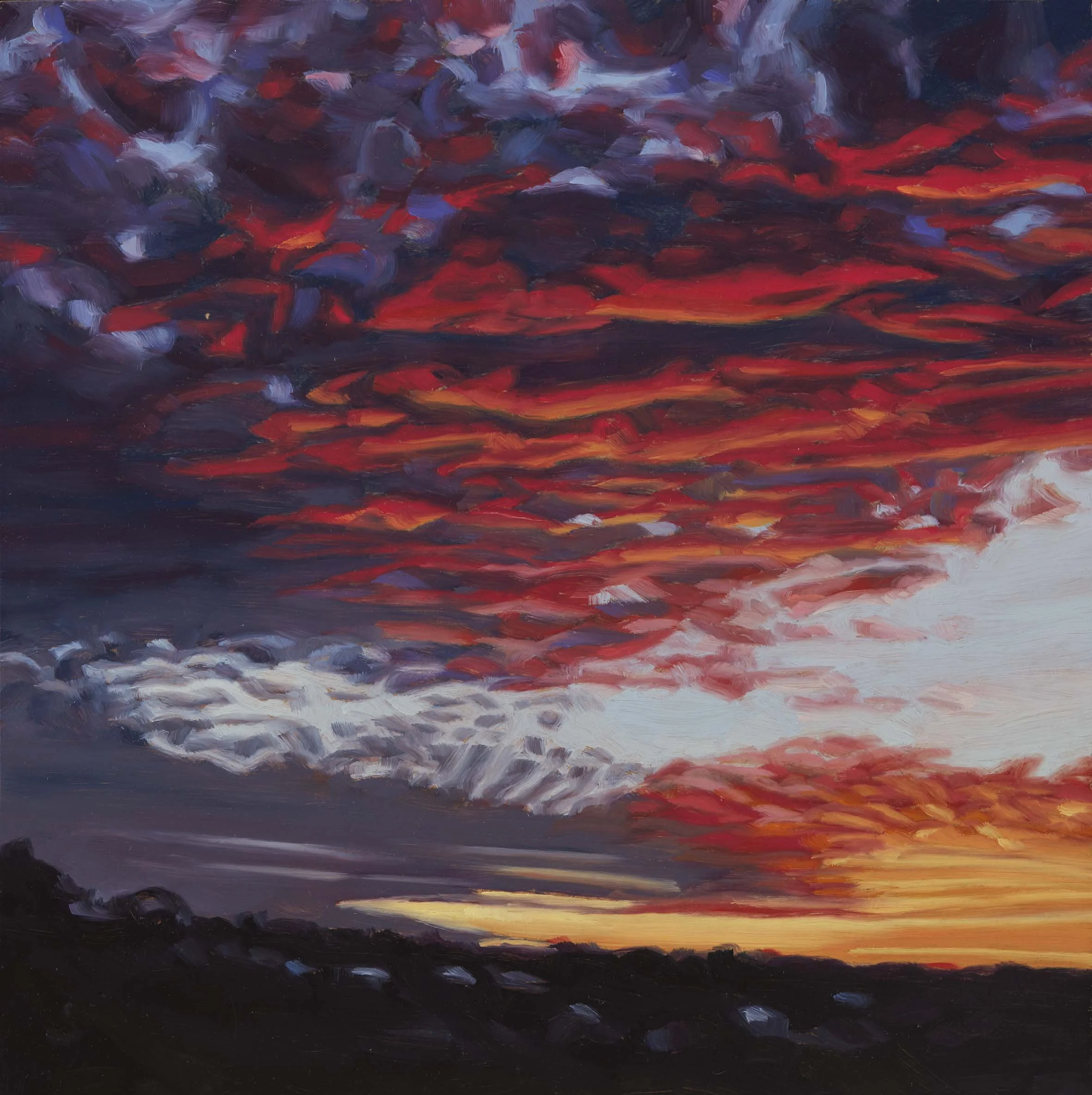   Jacana Weather 15 , 30 × 30 cm, 2024                                            photo by Narelle Wilson 