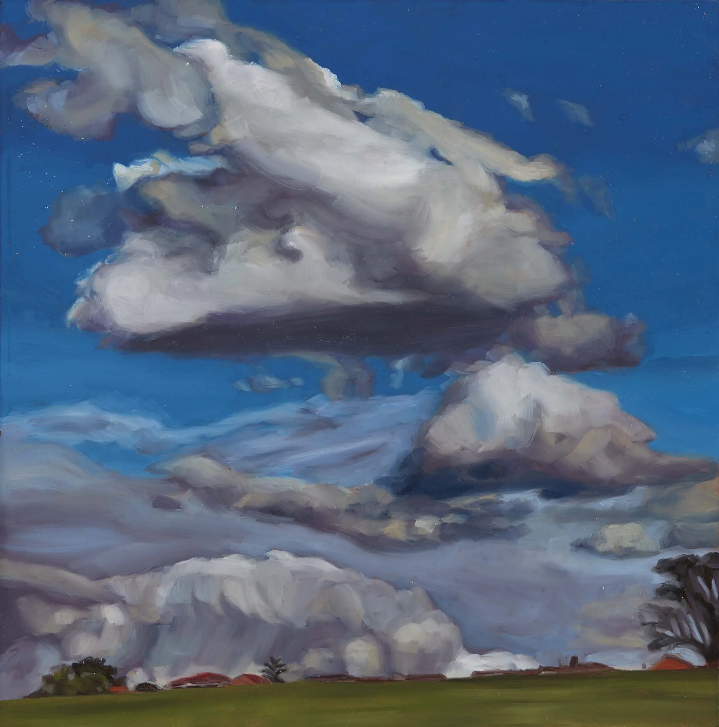   Jacana Weather 16 , 30 × 30 cm, 2025                                           photo by Narelle Wilson 