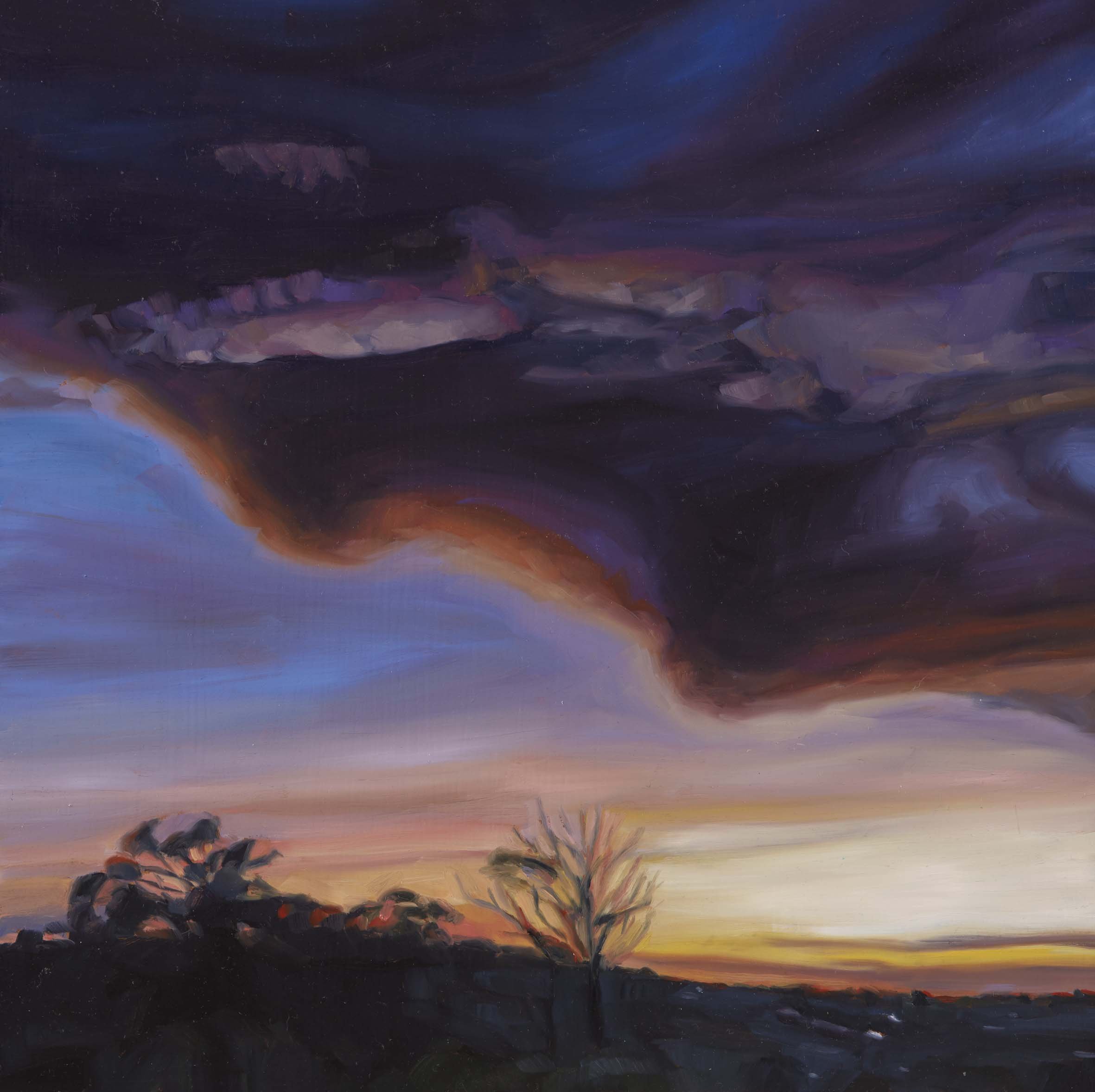   Jacana Weather 17 , 30 × 30 cm, 2025                                            photo by Narelle Wilson 