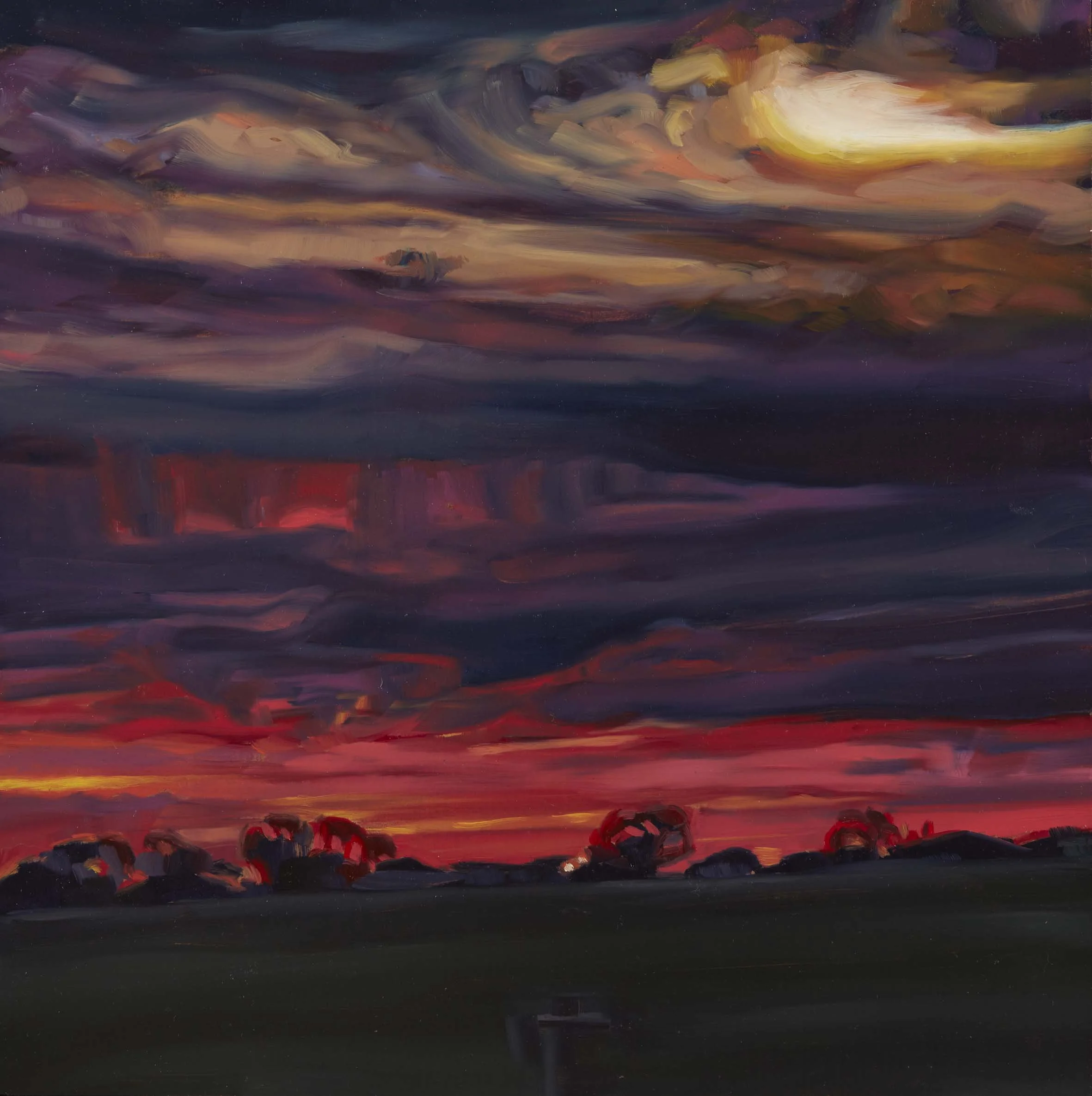   Jacana Weather 18 , 30 × 30 cm, 2025                                           photo by Narelle Wilson 