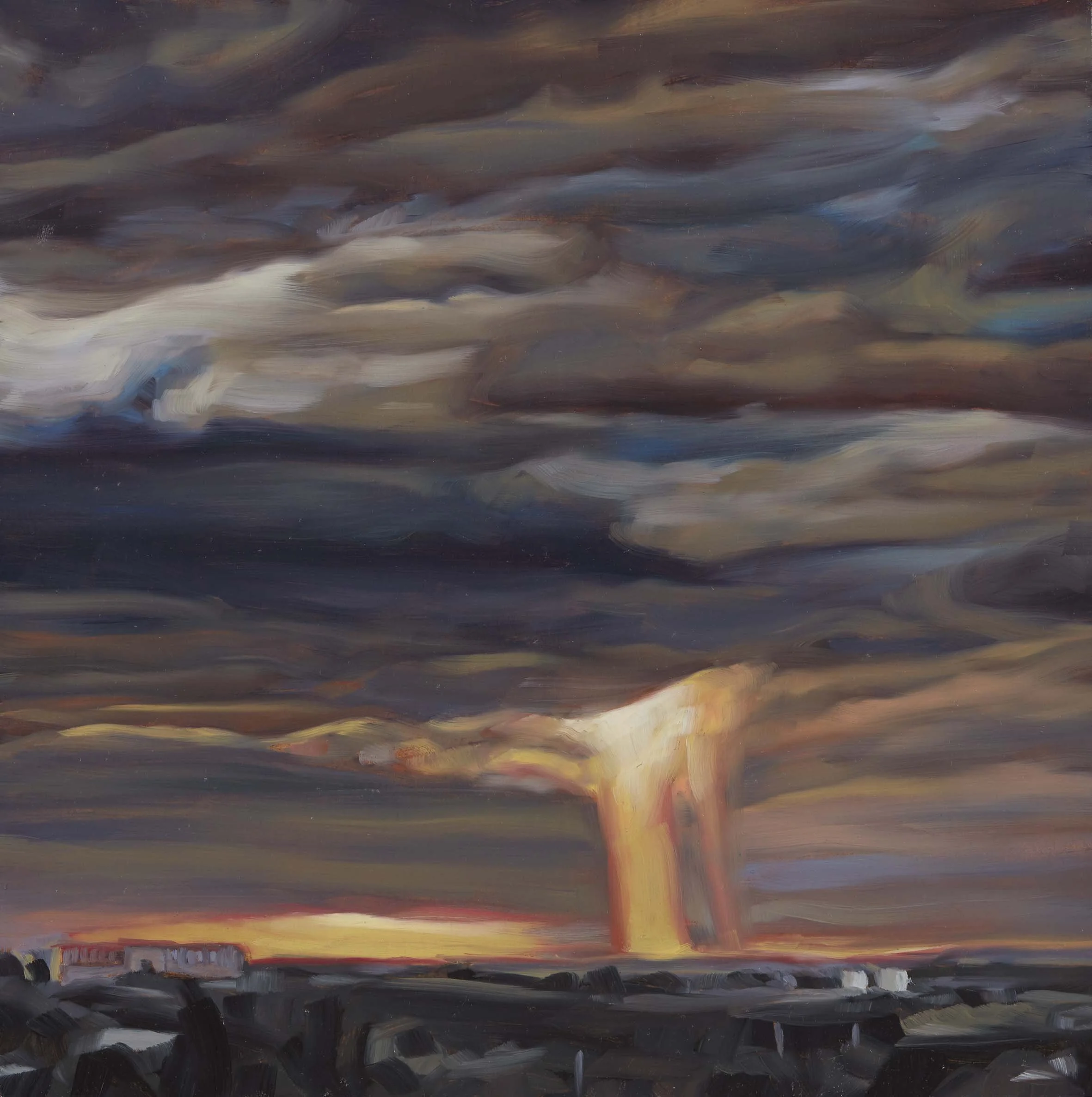   Jacana Weather 19 , 30 × 30 cm, 2025                                           photo by Narelle Wilson 