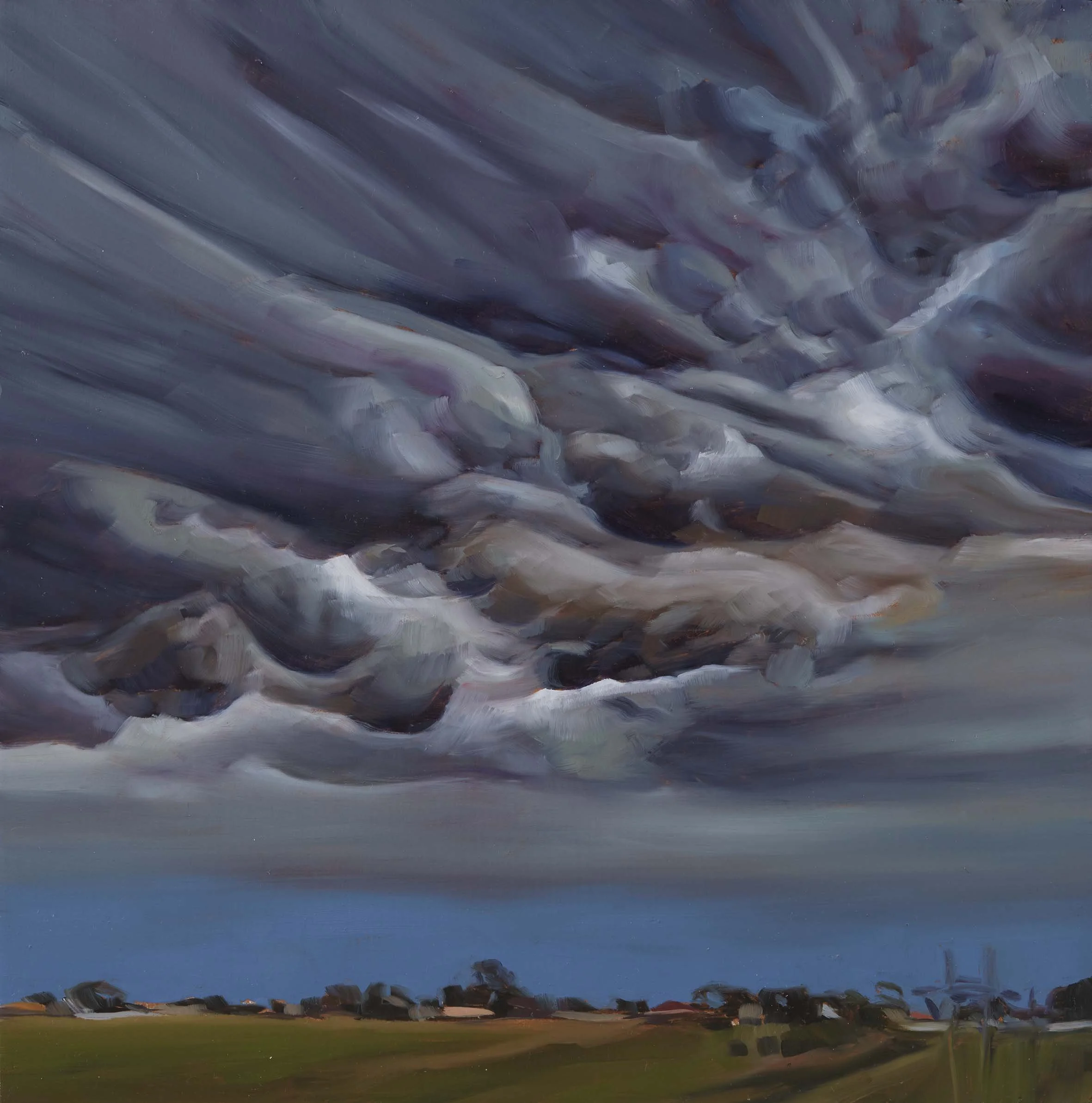   Jacana Weather 20,  30 × 30 cm, 2025                                           photo by Narelle Wilson 