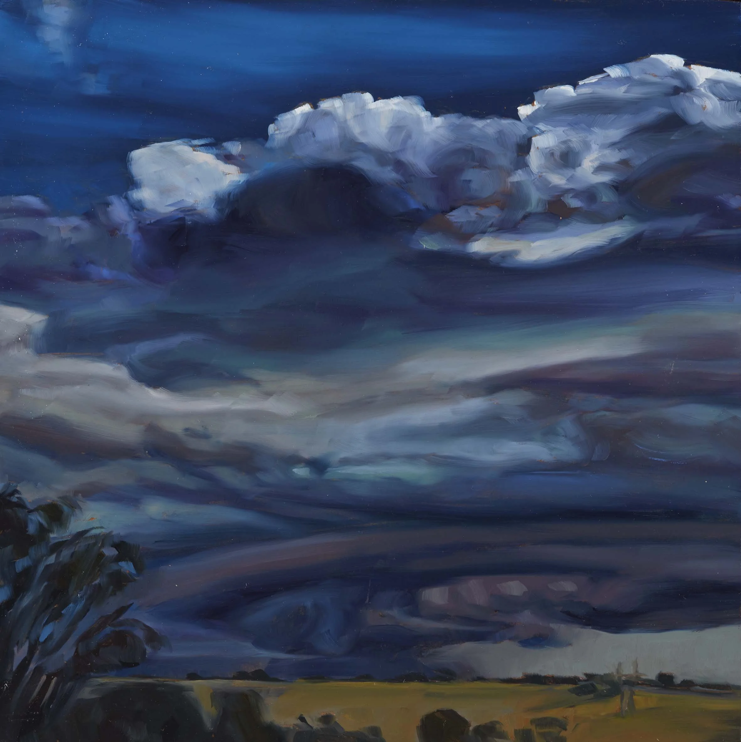   Jacana Weather 21 , 30 × 30 cm, 2025                                            photo by Narelle Wilson 