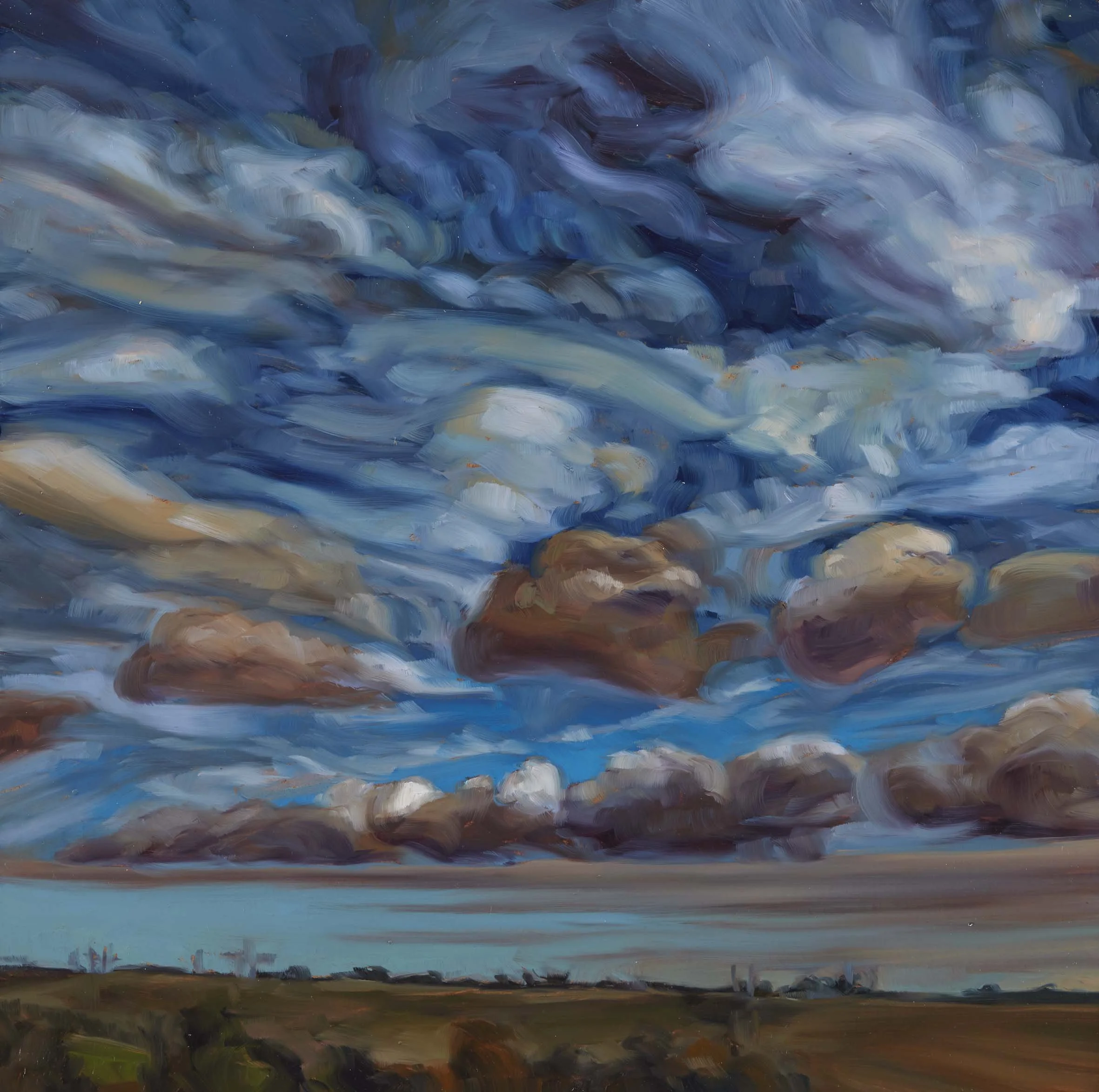   Jacana Weather 23 , 30 × 30 cm, 2025                                           photo by Narelle Wilson 