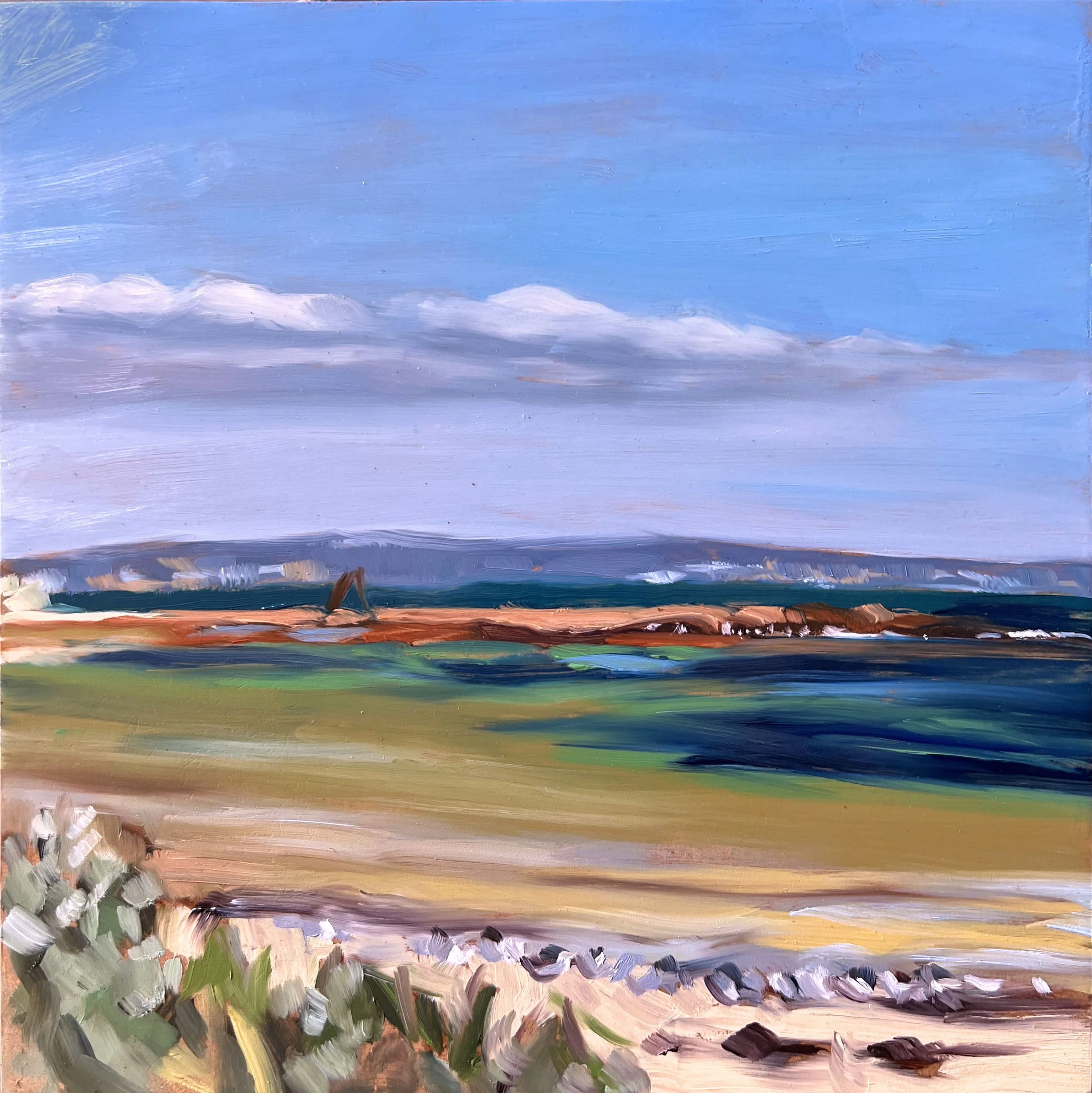   Beaumaris , 30 × 30 cm, oil on board, 2026 