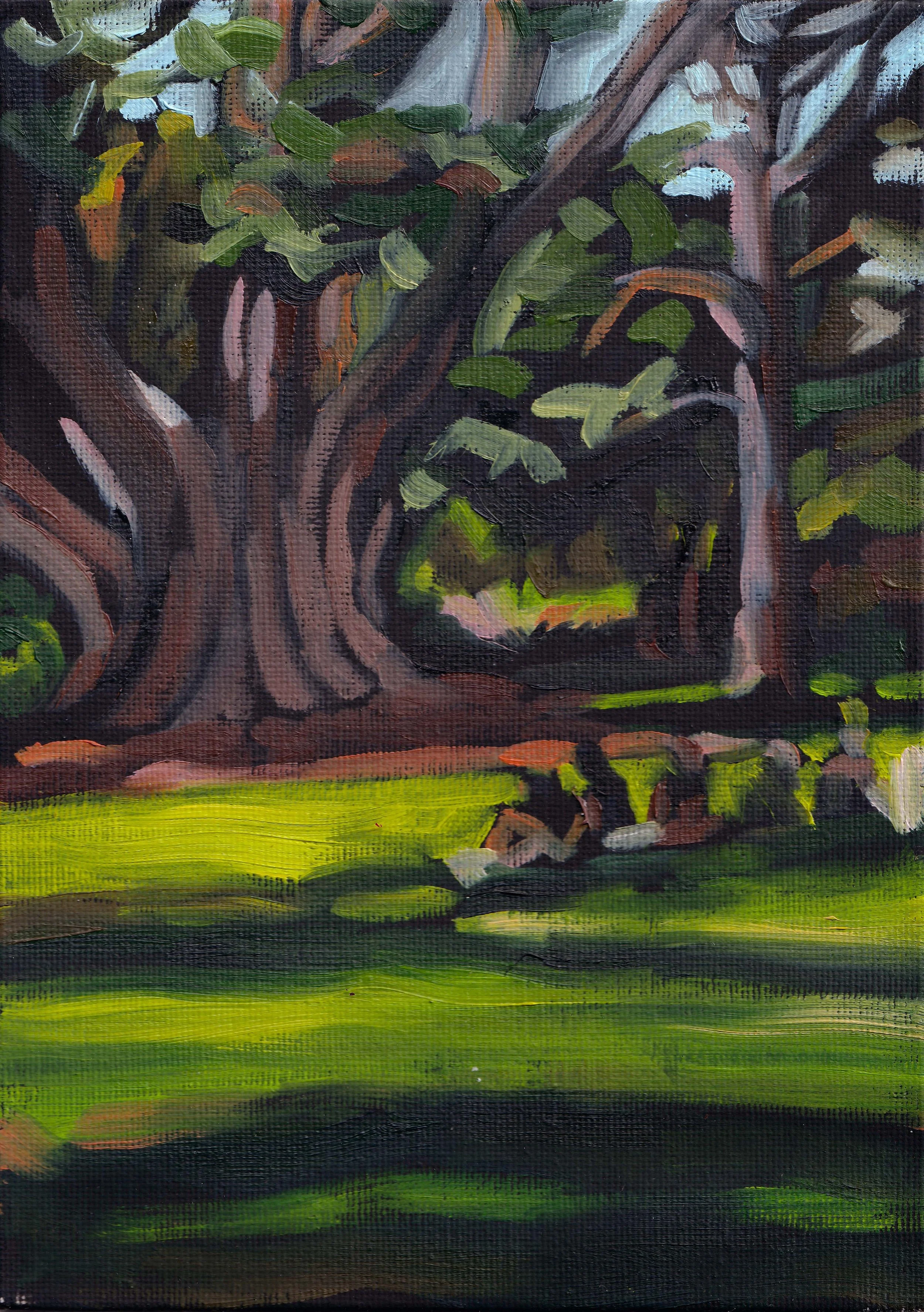   Giant Cedar,  20 × 15 cm, oil on canvas card, 2025 