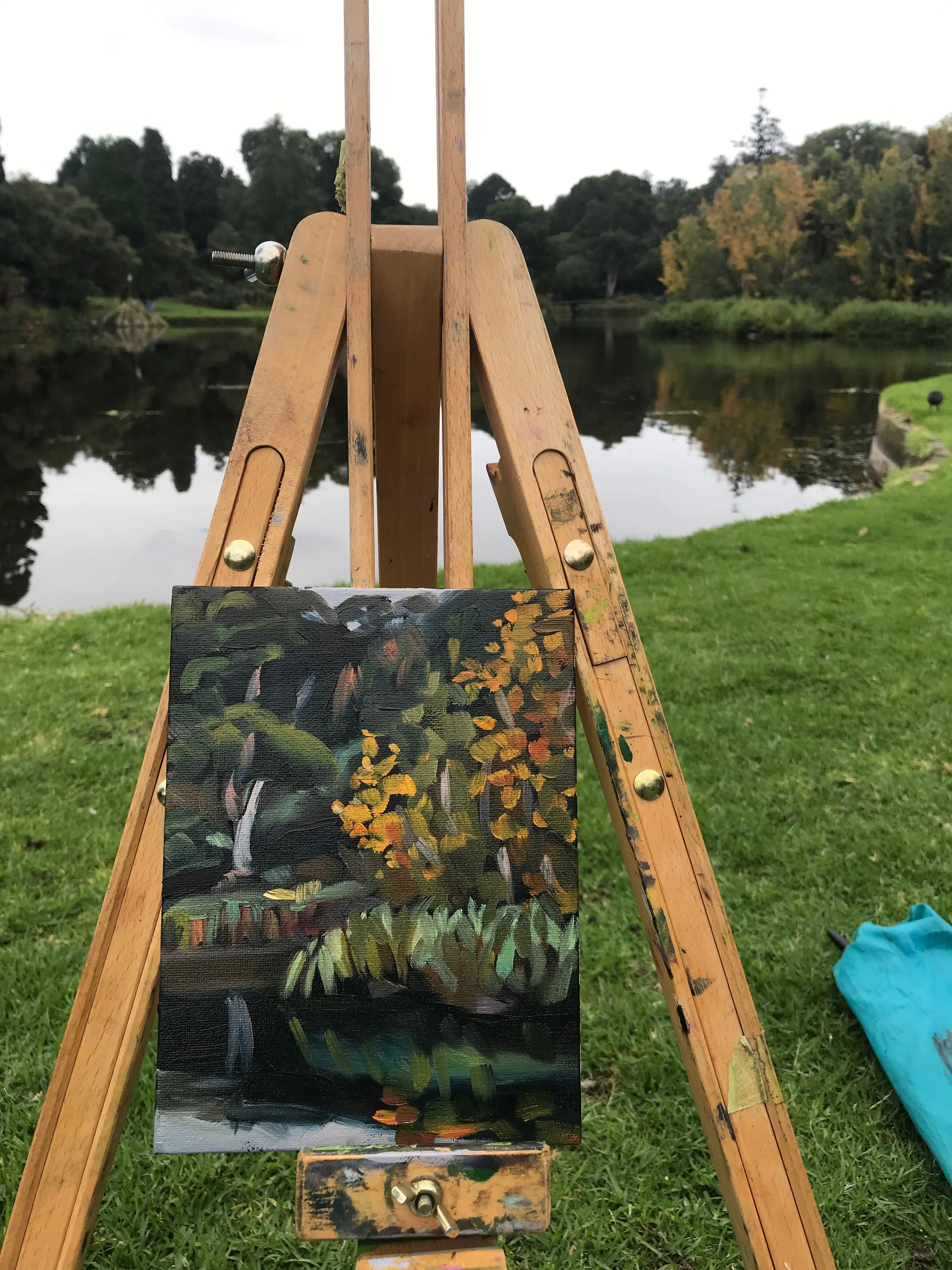   Picnic Point Autumn (in situ)   20 × 15 cm oil on canvas card 2023 